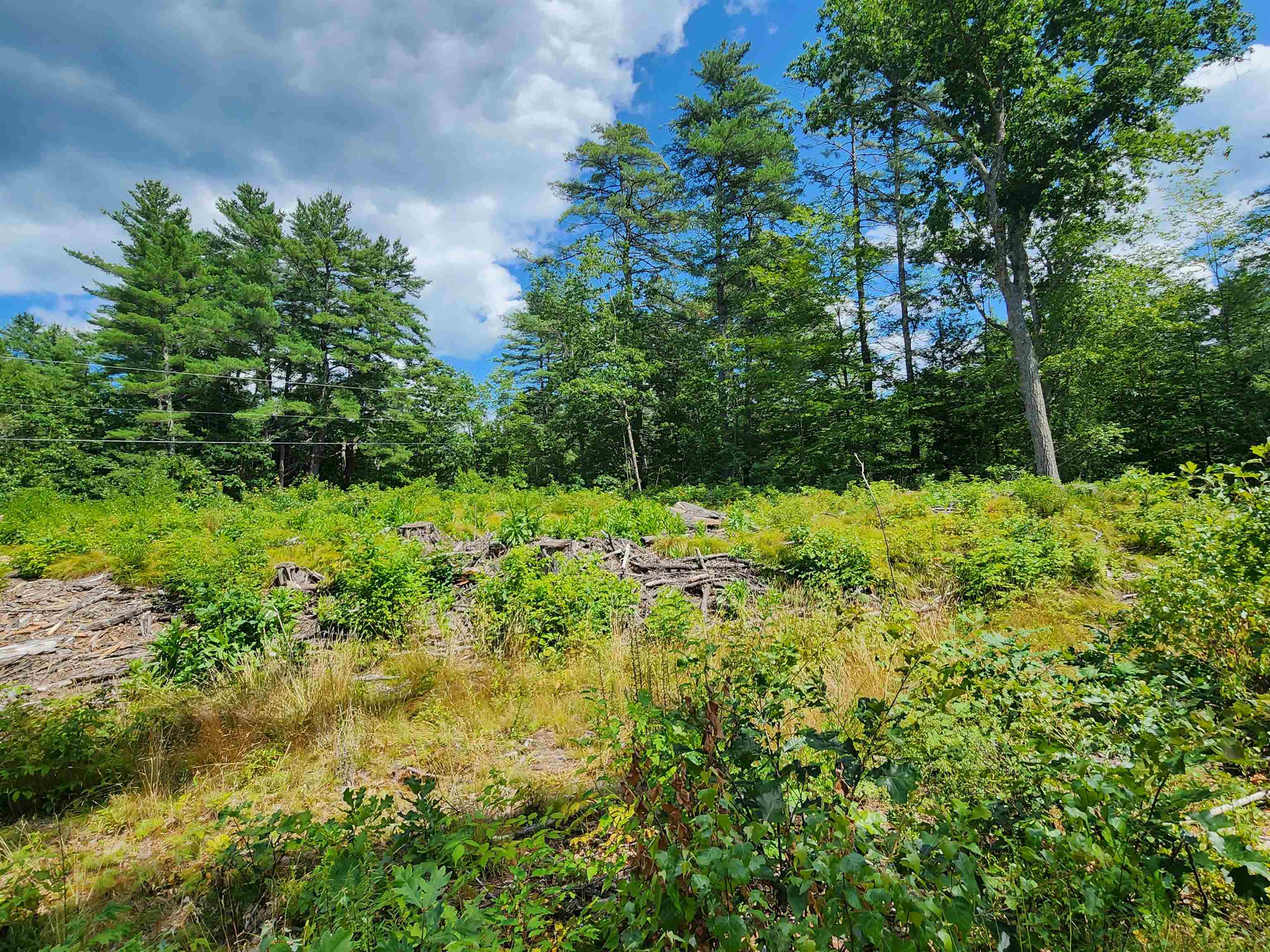 00 Wales Bridge Rd, Loudon, NH 03307