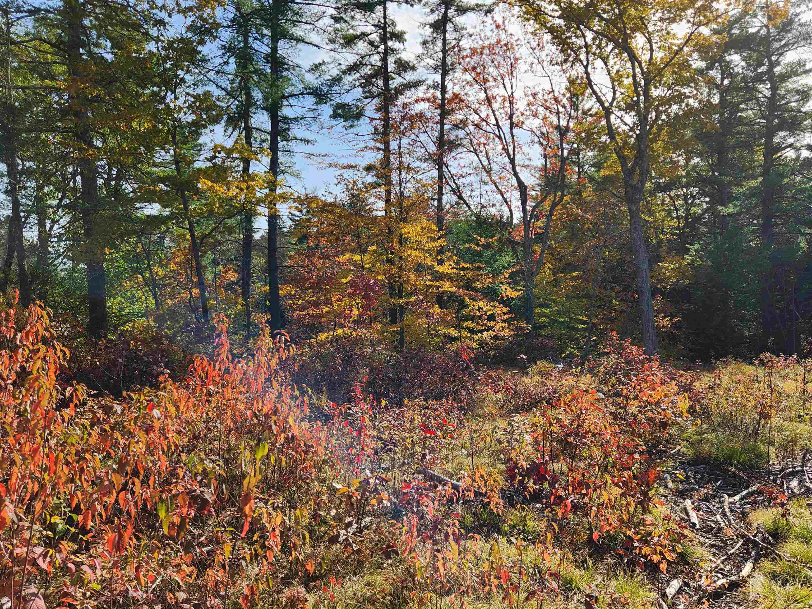 00 Wales Bridge Rd, Loudon, NH 03307