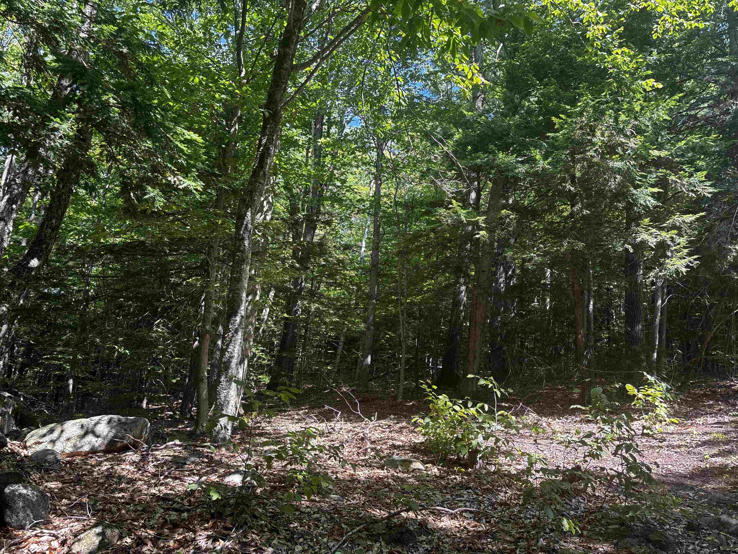 28 Sky Ln, Wolfeboro, NH 03894