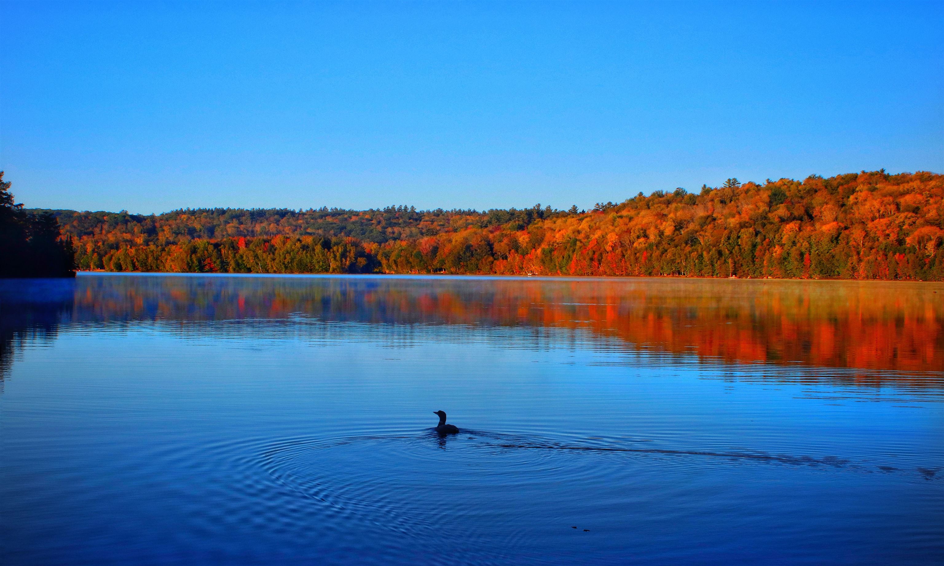 50 Longwood Dr, Grantham, NH 03753