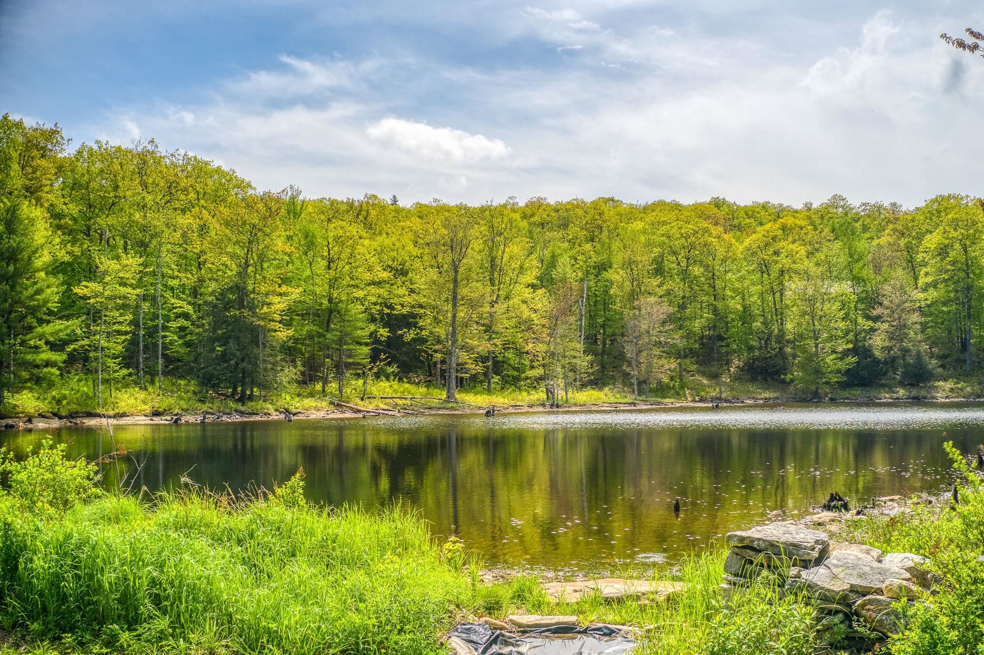 79 Summit Dr, New Boston, NH 03070