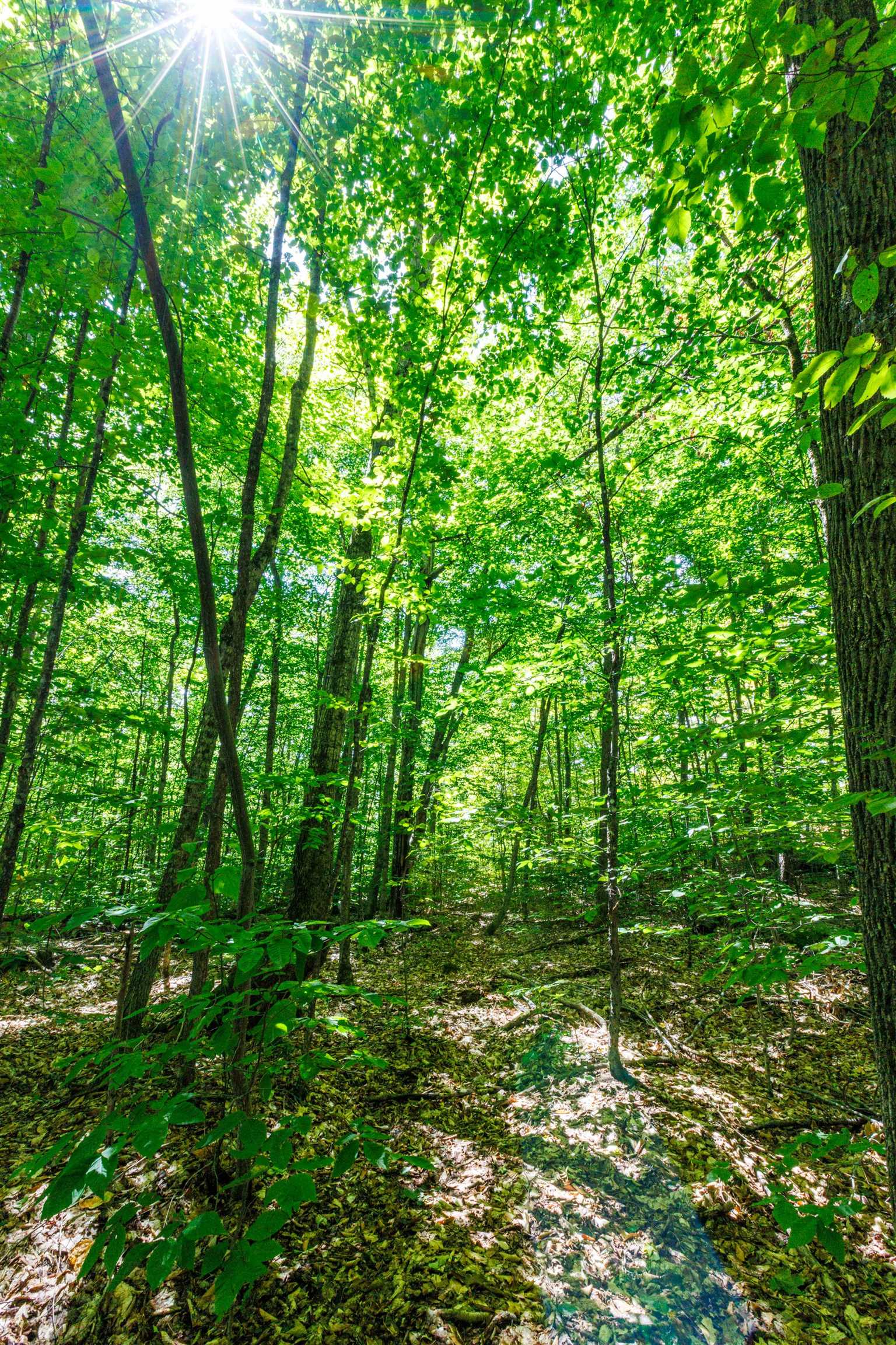 14 Summit Dr, Franconia, NH 03580