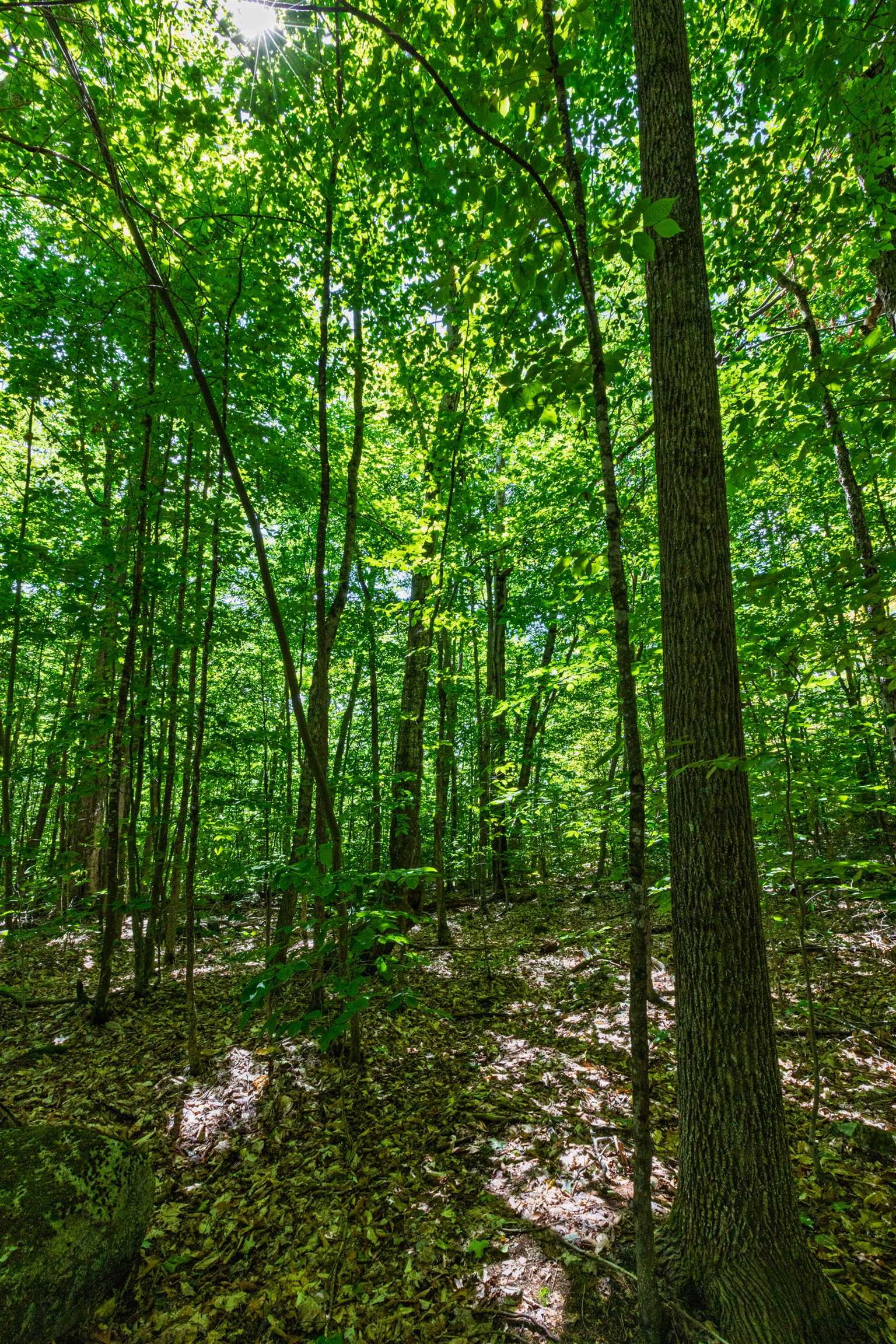 14 Summit Dr, Franconia, NH 03580