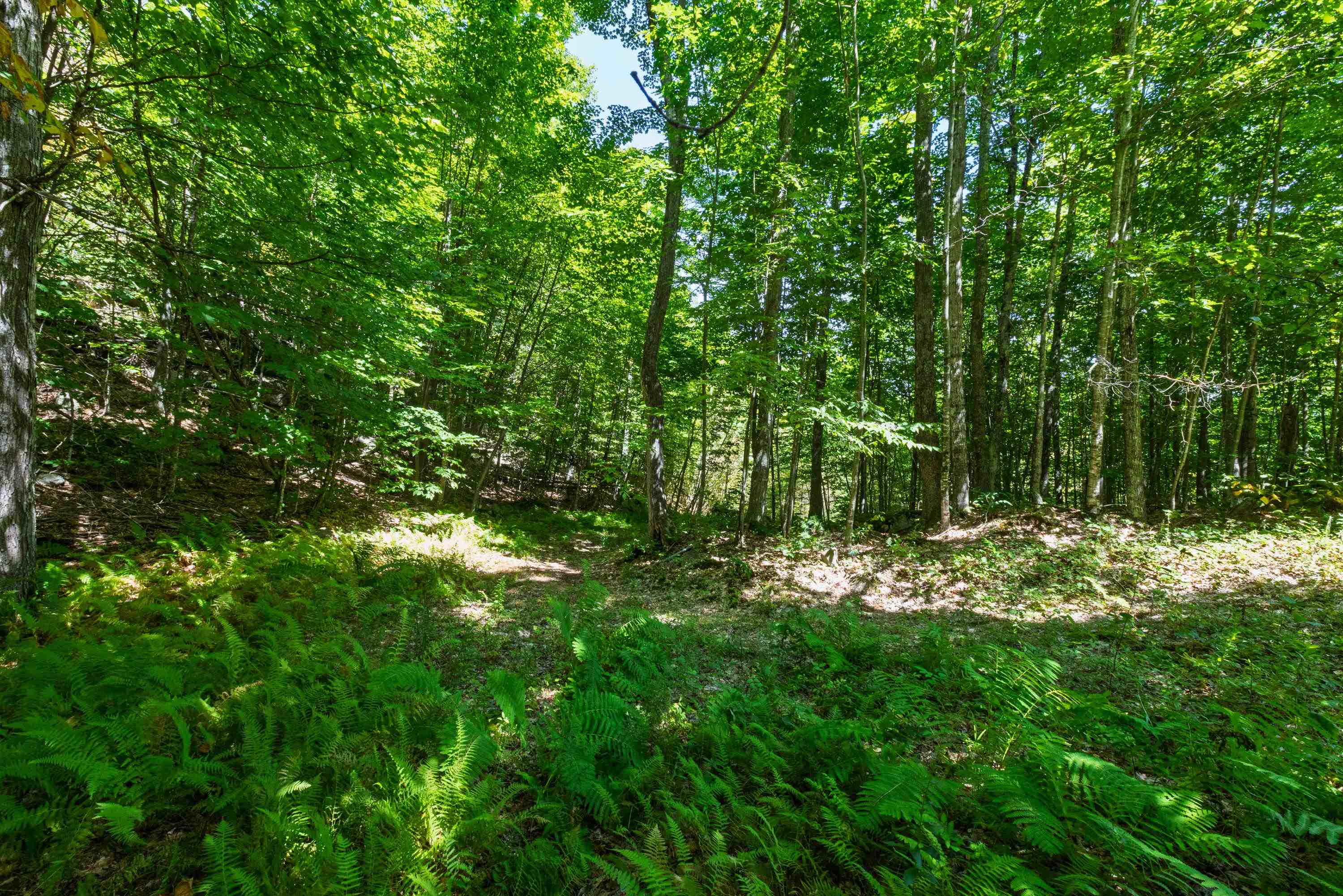 14 Summit Dr, Franconia, NH 03580