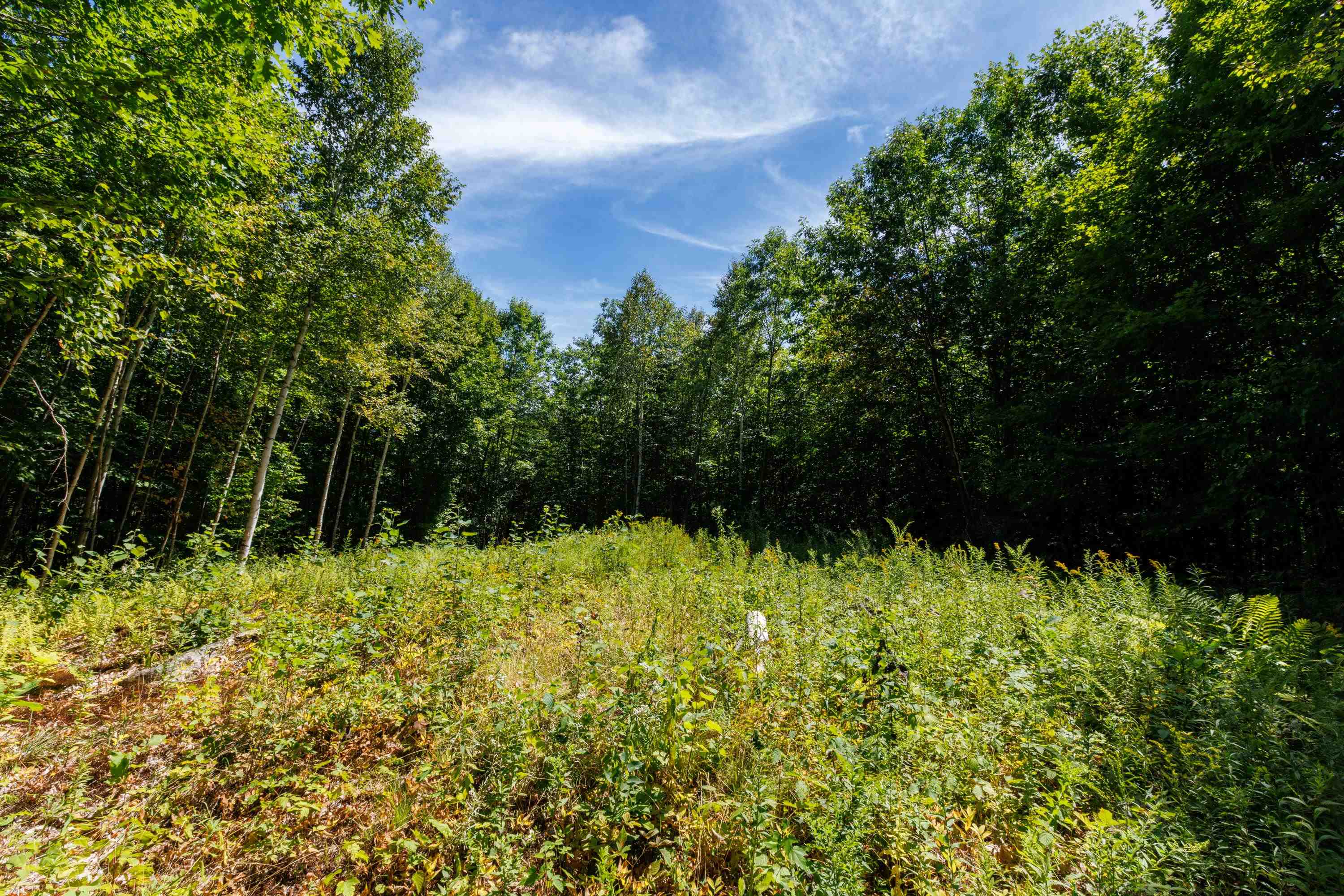 14 Summit Dr, Franconia, NH 03580