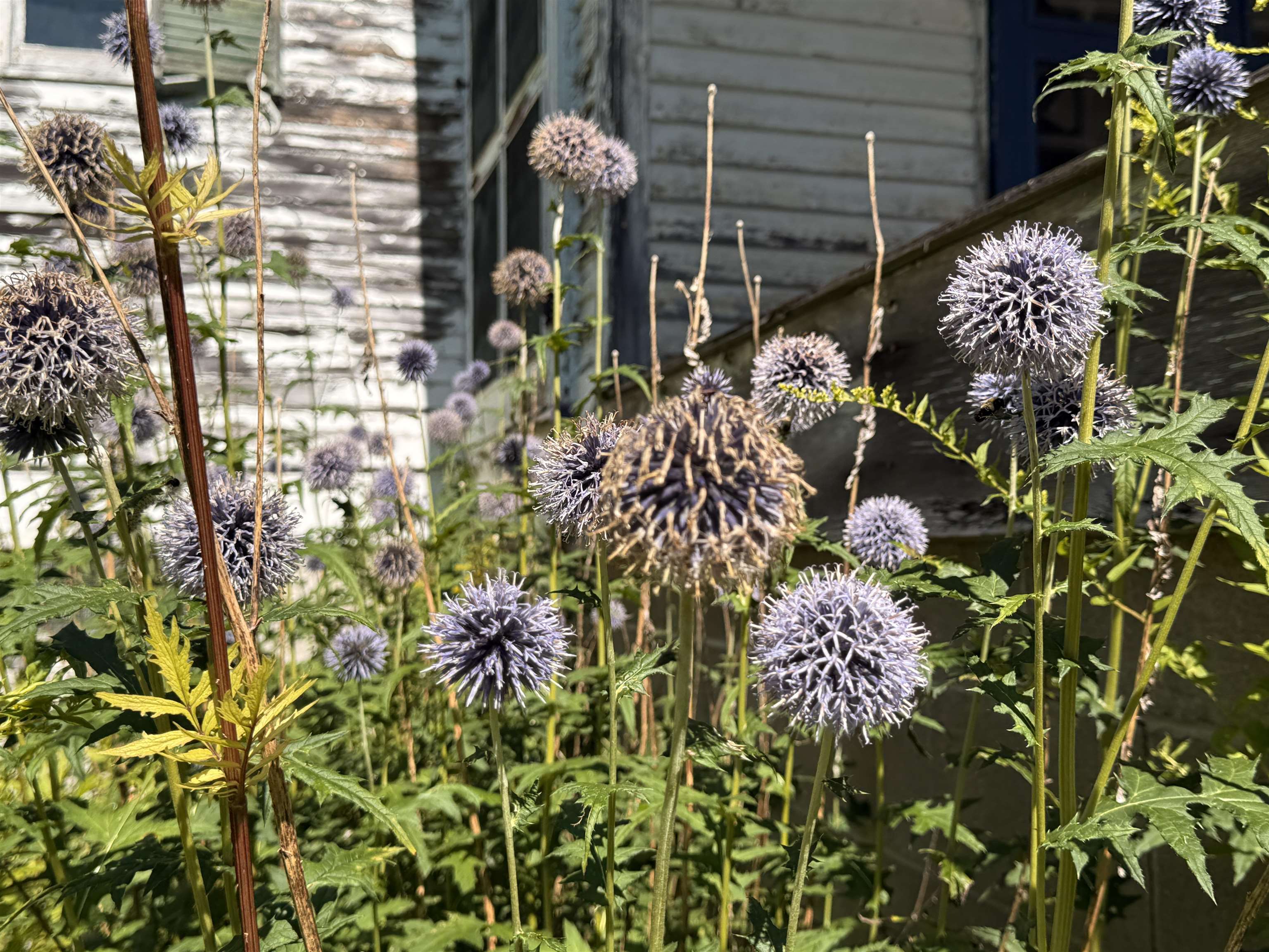 1860 Presidential Hw, Jefferson, NH 03583