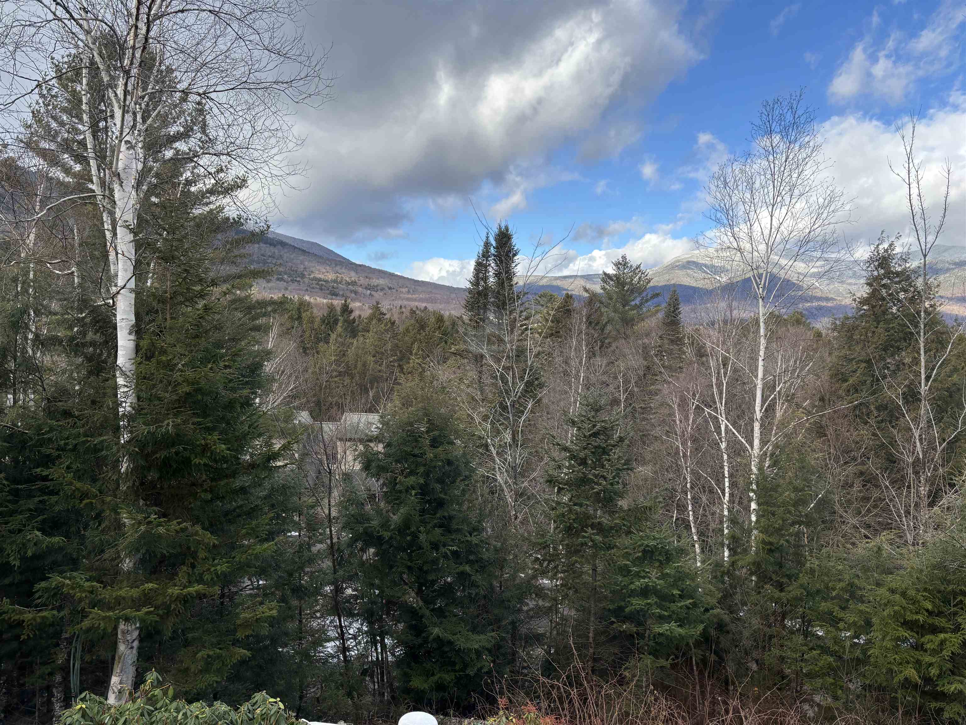 20 Pine Tree Way, Waterville Valley, NH 03215