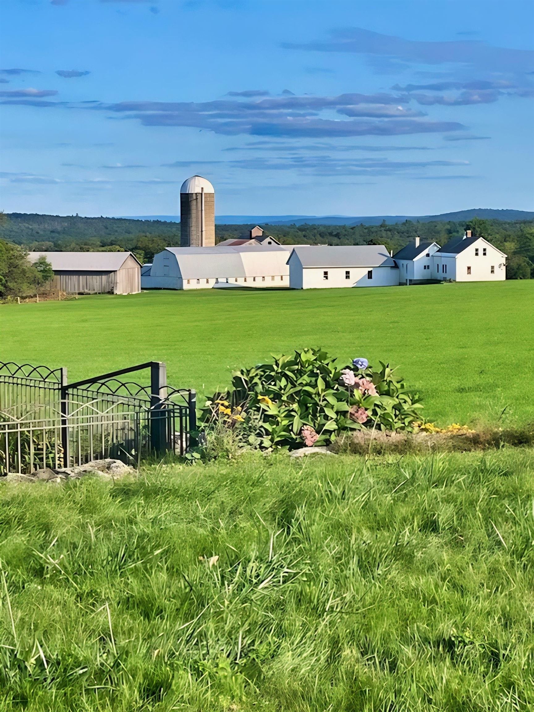 Farm up the hill
