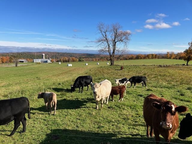 Farm up the hill
