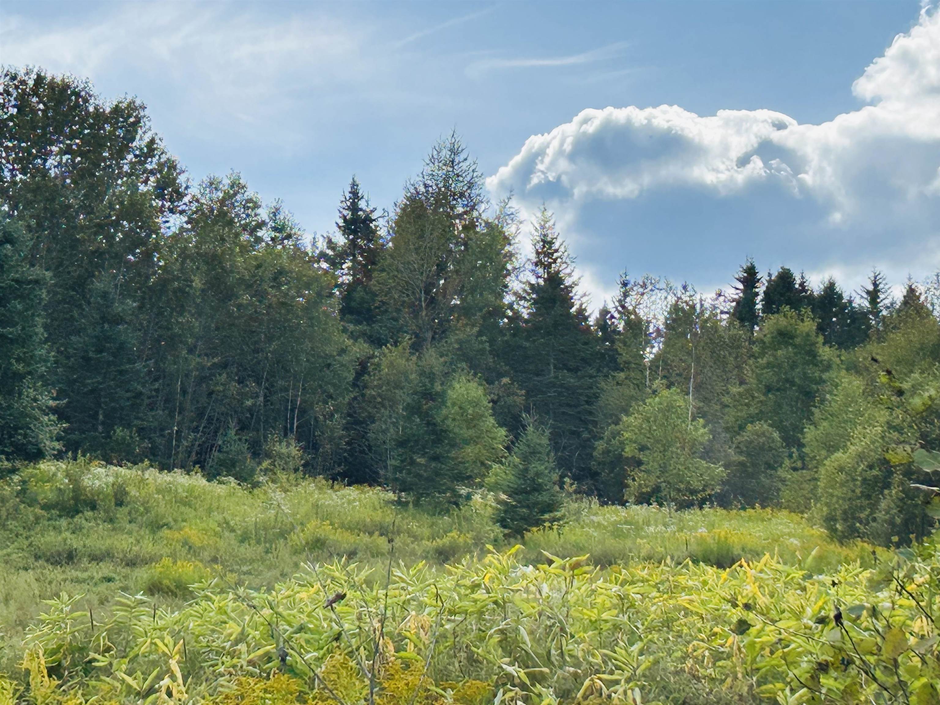 0 Harrys Way, Colebrook, NH 03576