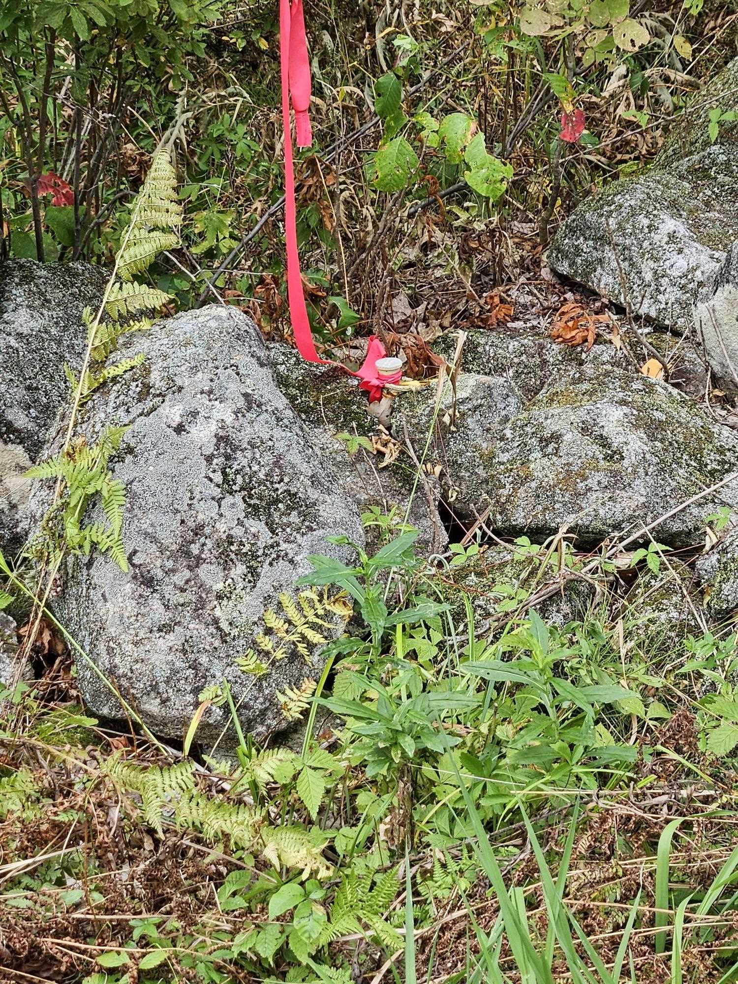 284 Ossipee Mountain Road — photo 2