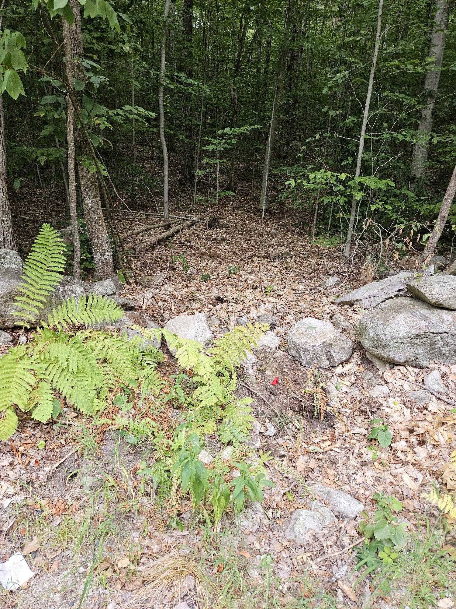 284 Ossipee Mountain Rd, Moultonborough, NH 03254