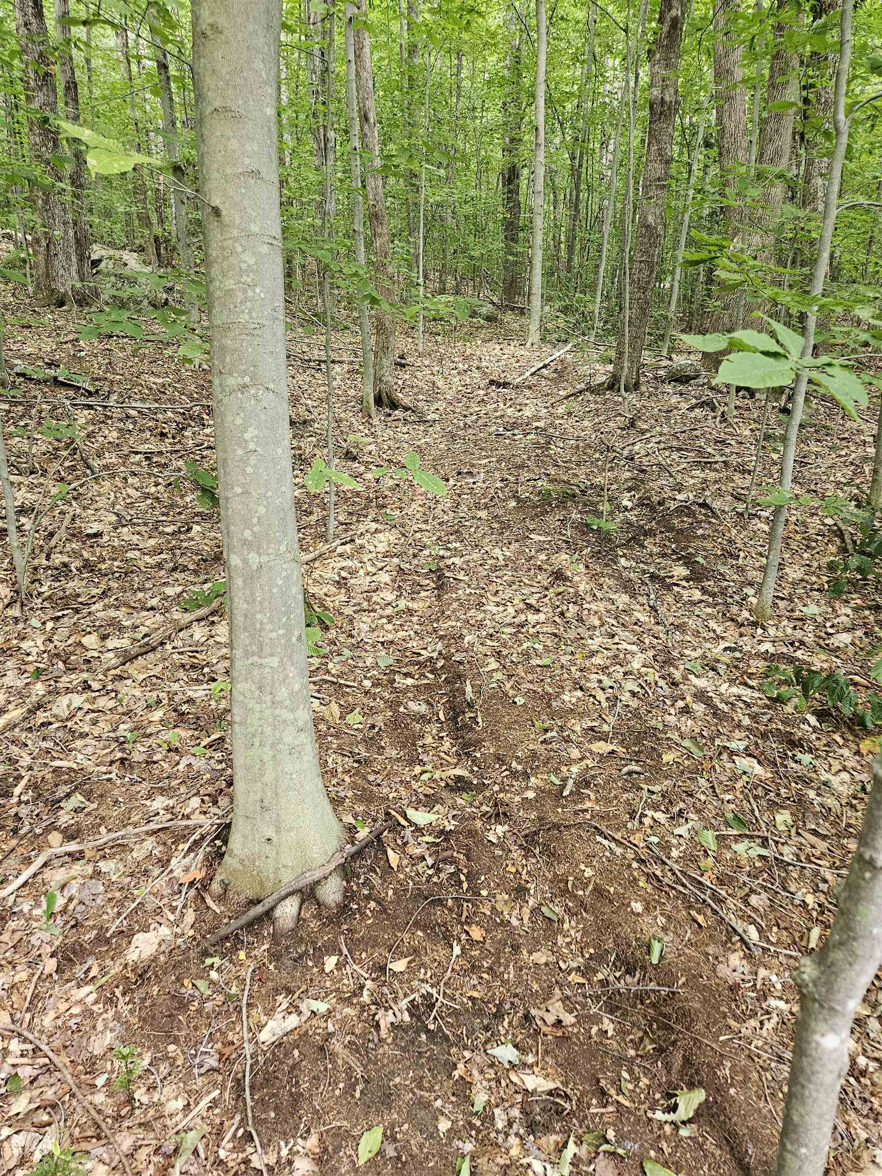 284 Ossipee Mountain Rd, Moultonborough, NH 03254