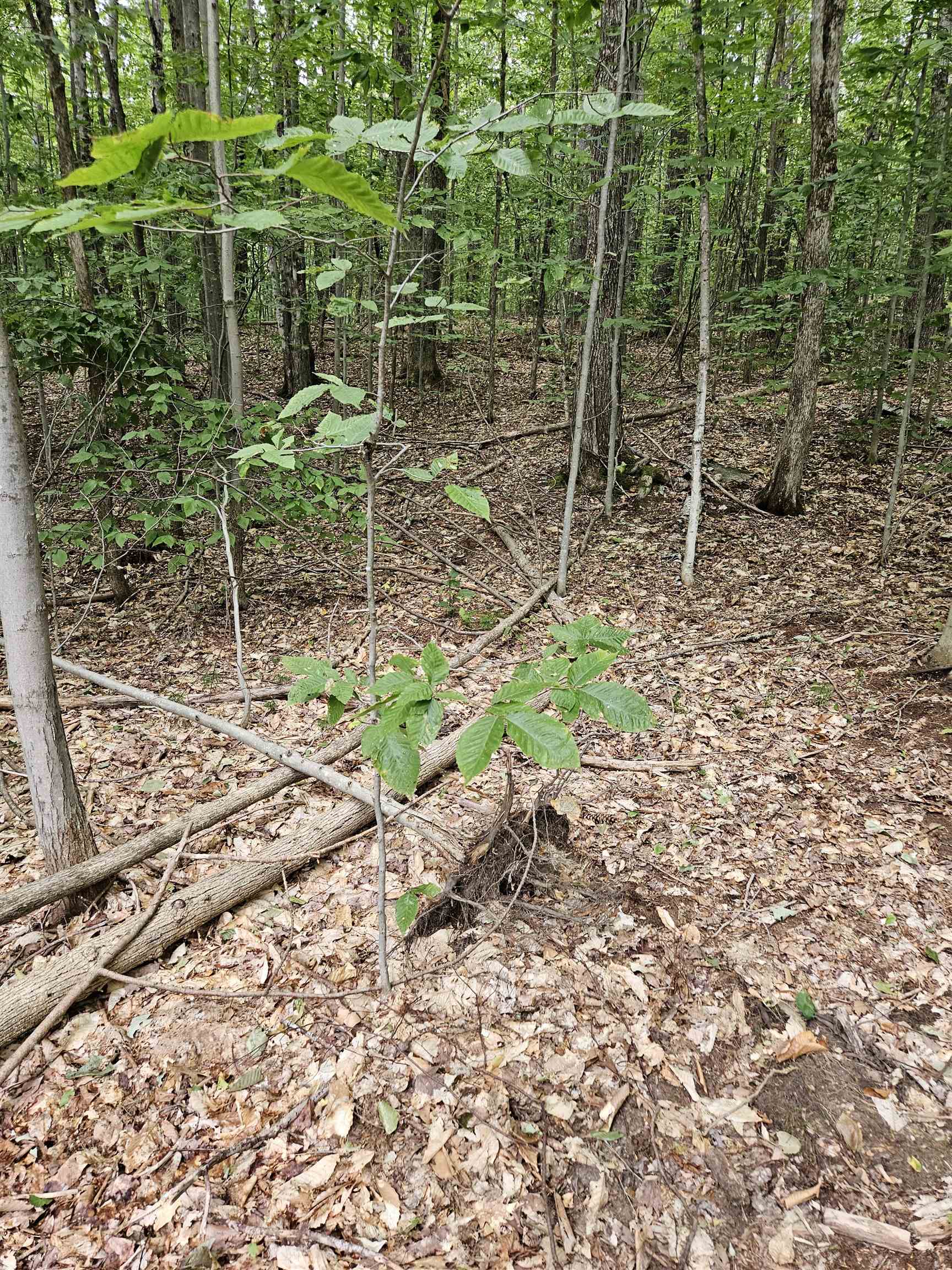 284 Ossipee Mountain Rd, Moultonborough, NH 03254