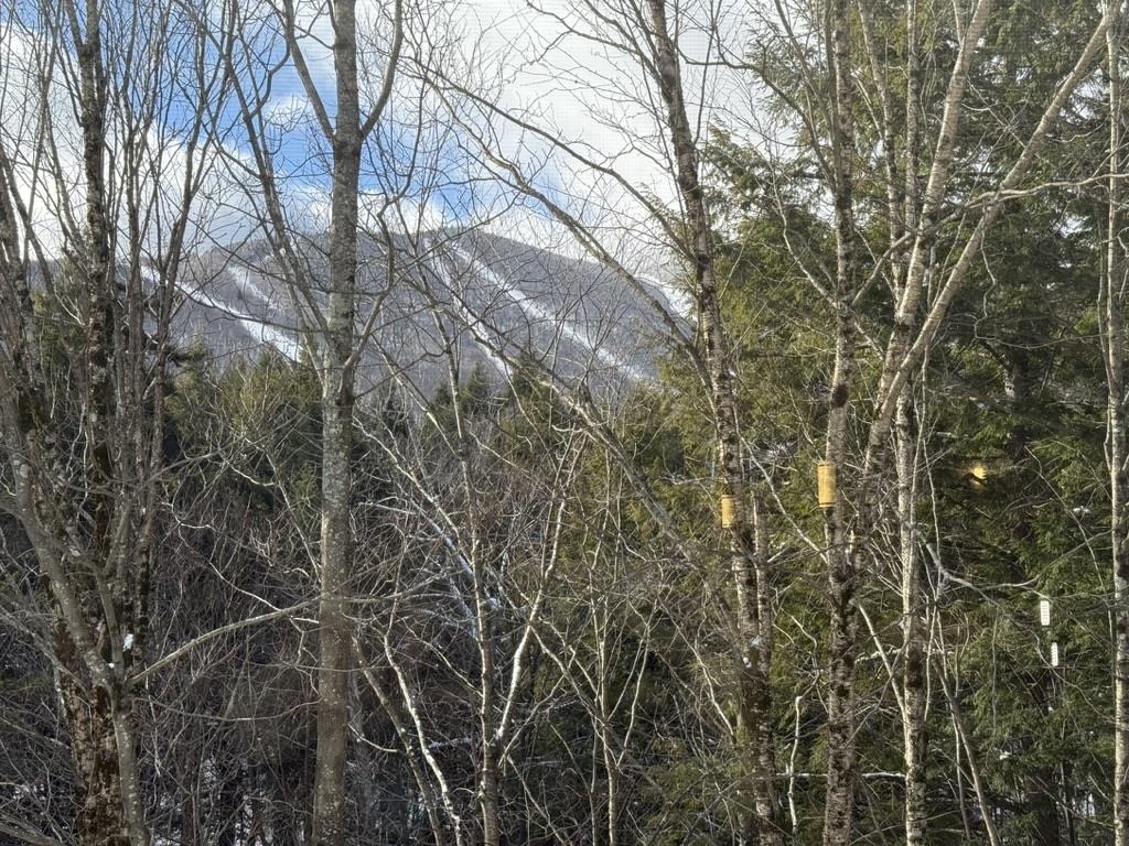 101 Bridges Cir #Bridges 101, Warren, VT 05674