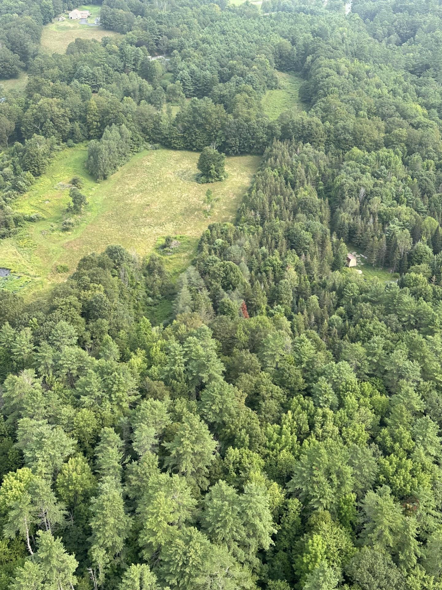 aerial view 24005826