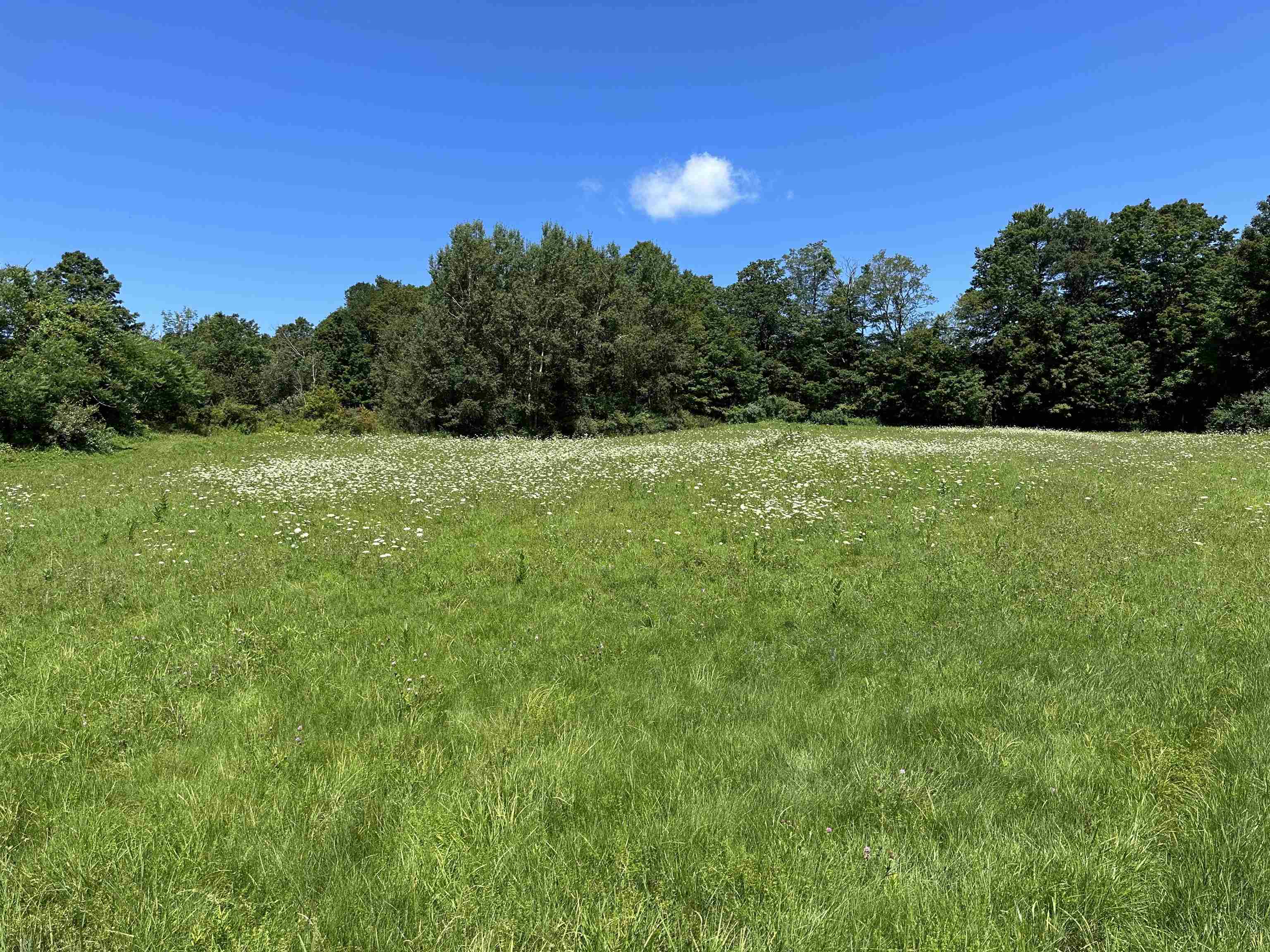 surrounded by wooded area 24006427