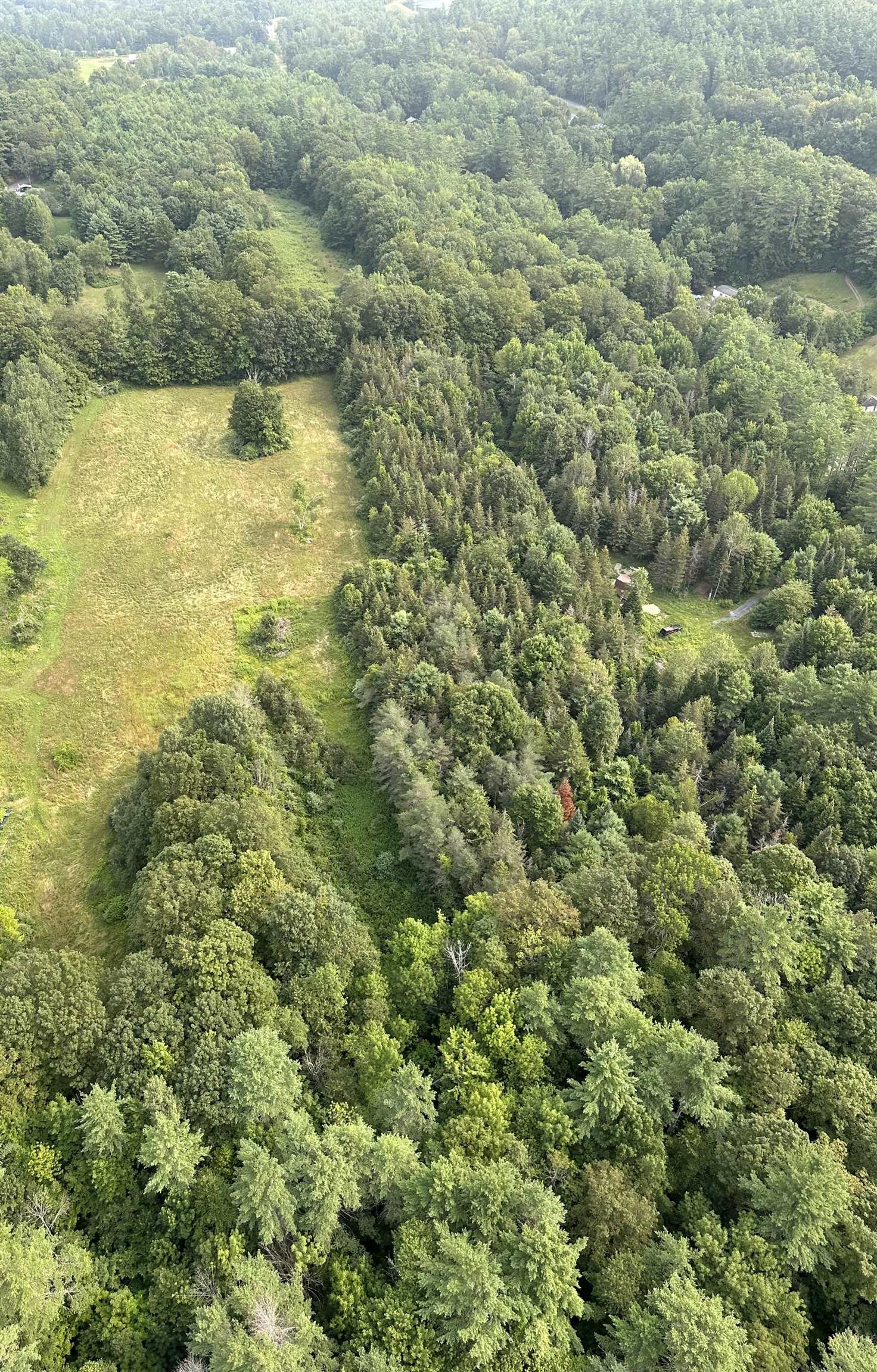 Aeriel view showing teo clearings 24008354