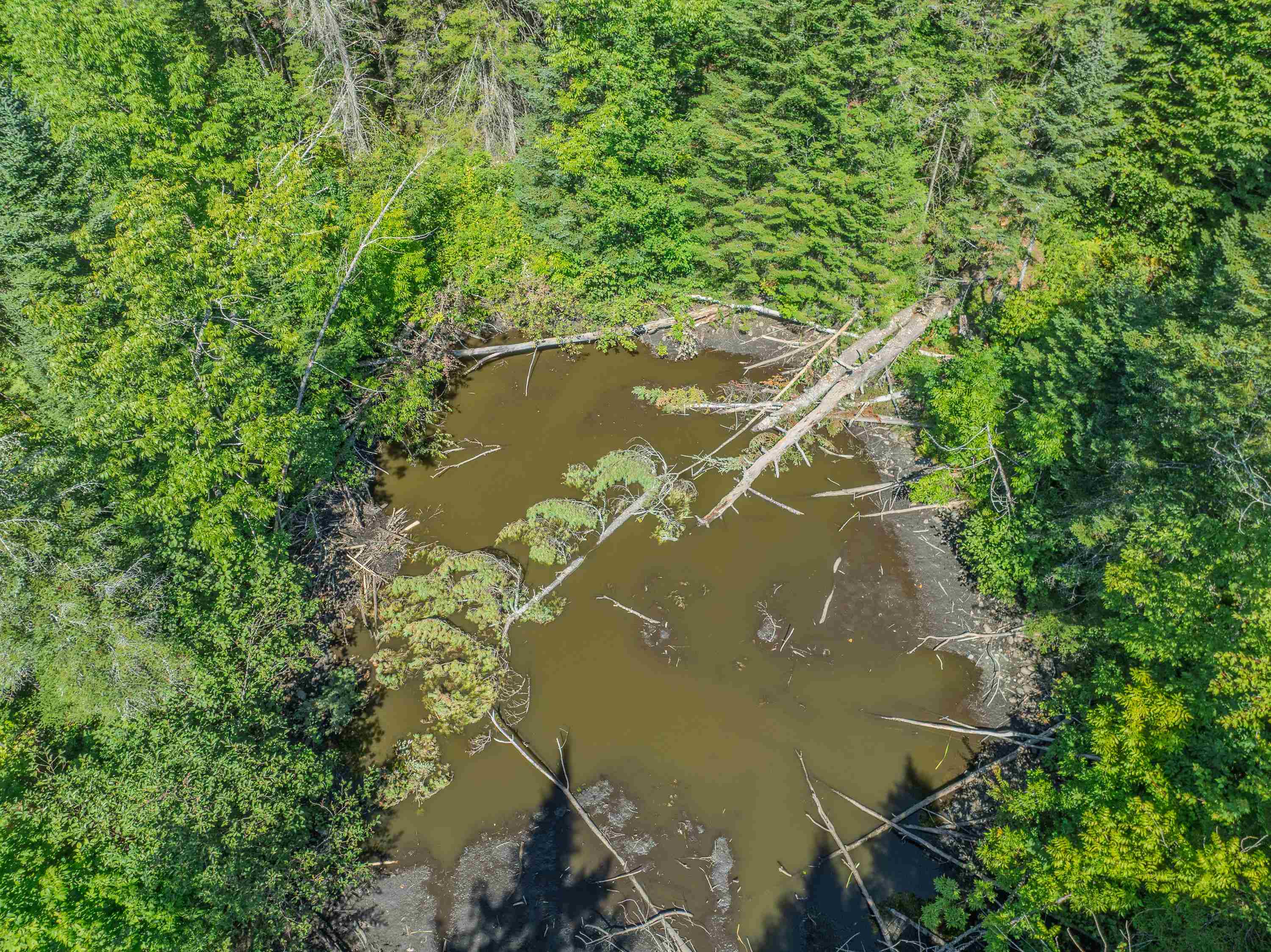 0 Old Waterford Rd, Littleton, NH 03561