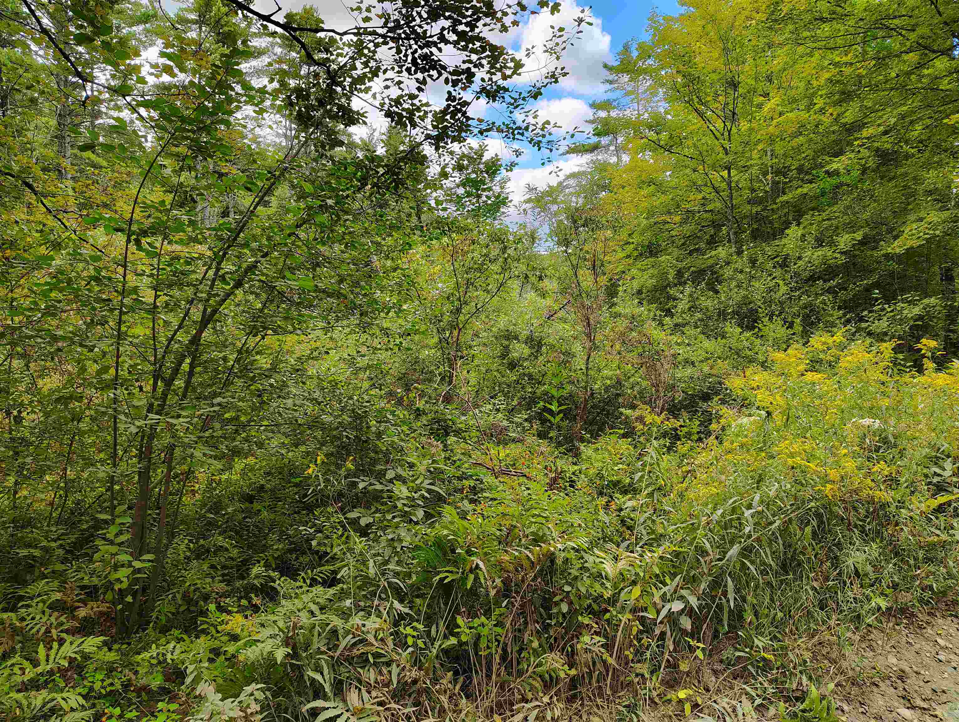 22 King Dr, Plainfield, NH 03780