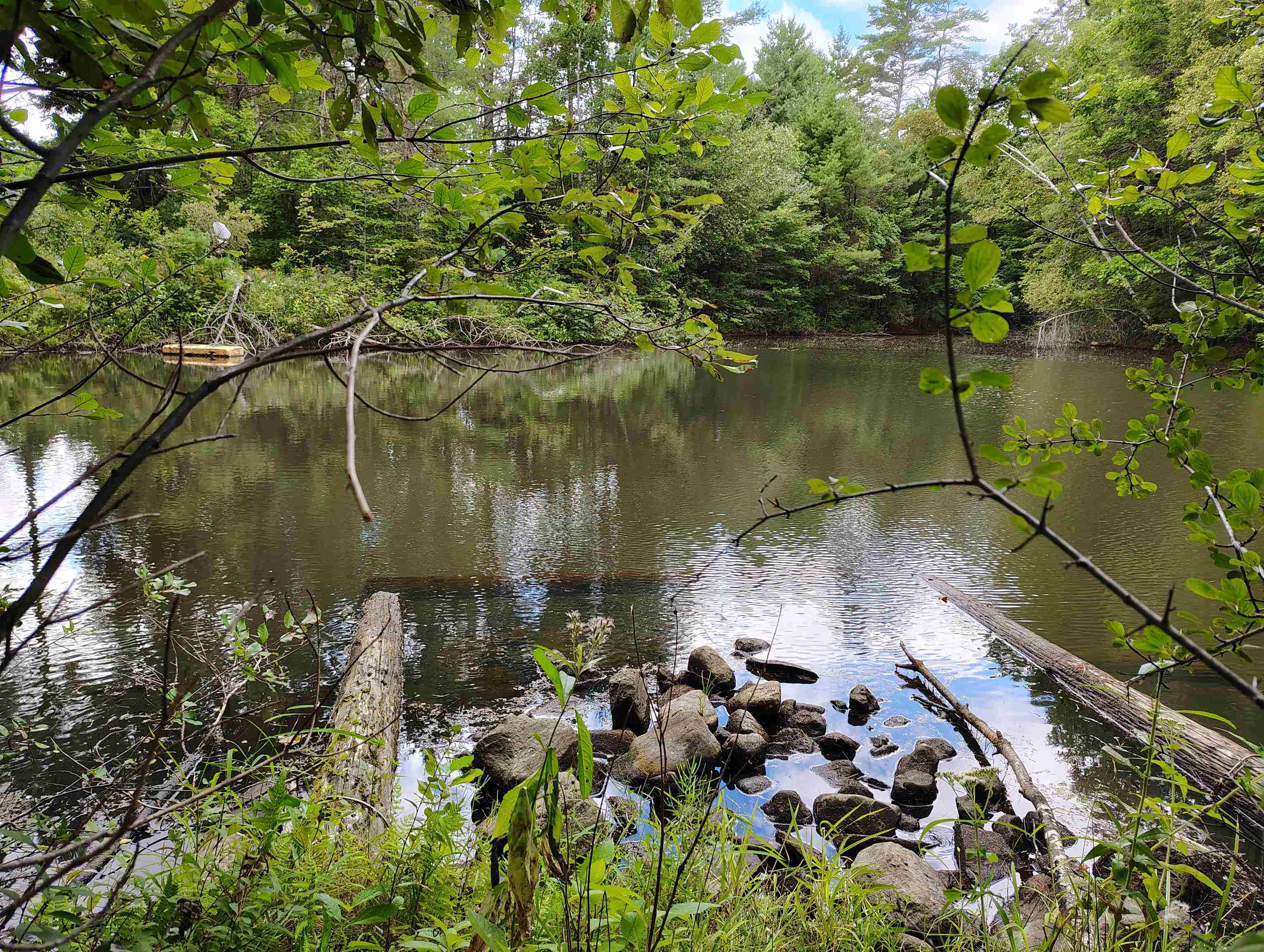 22 King Dr, Plainfield, NH 03780