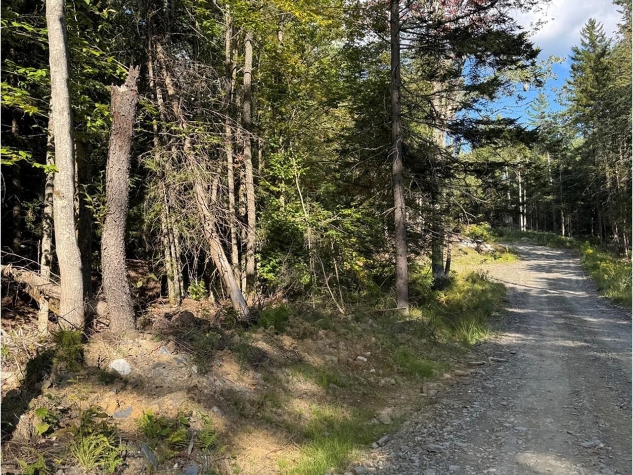 Park at Pull Off