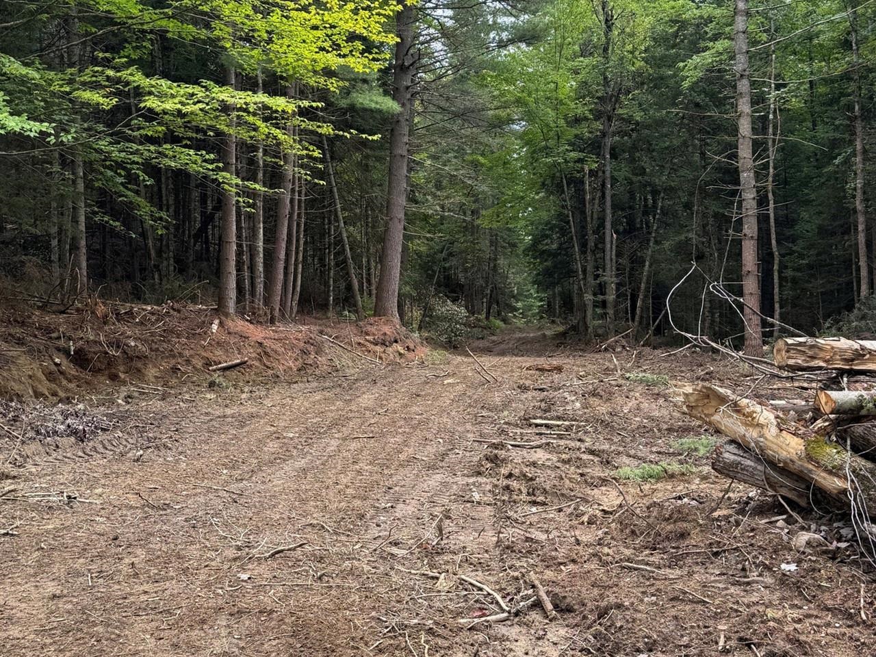 Road Clearing to Lots