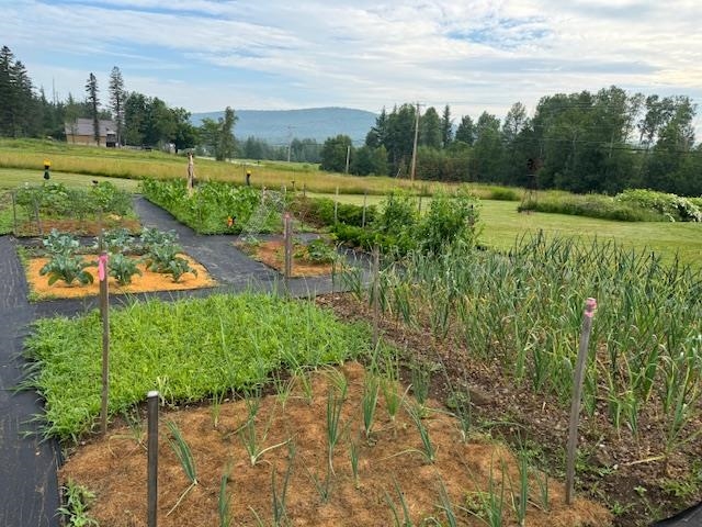 1245 Milan Rd, Milan, NH 03588