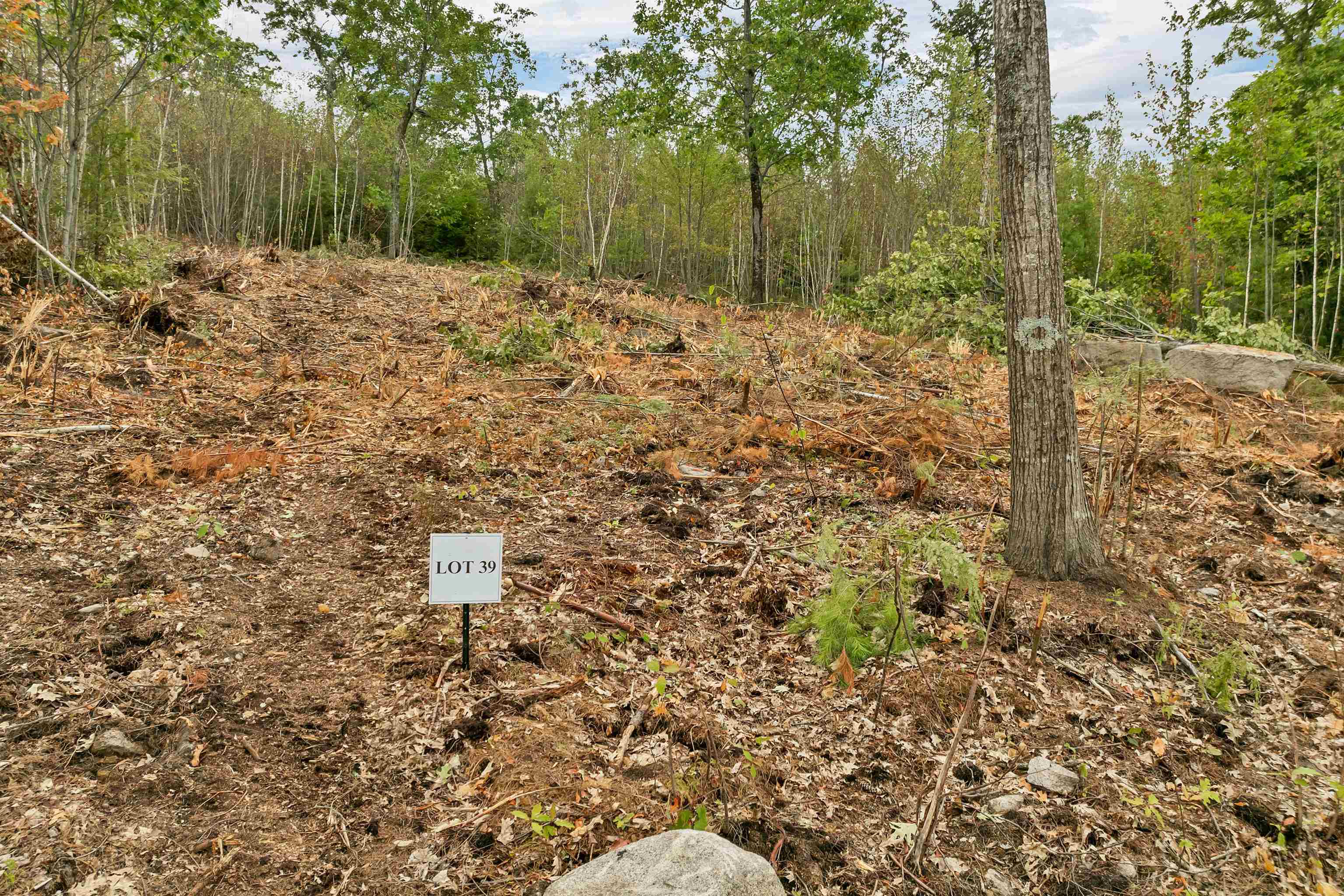 0 Long Stack Lane — photo 3