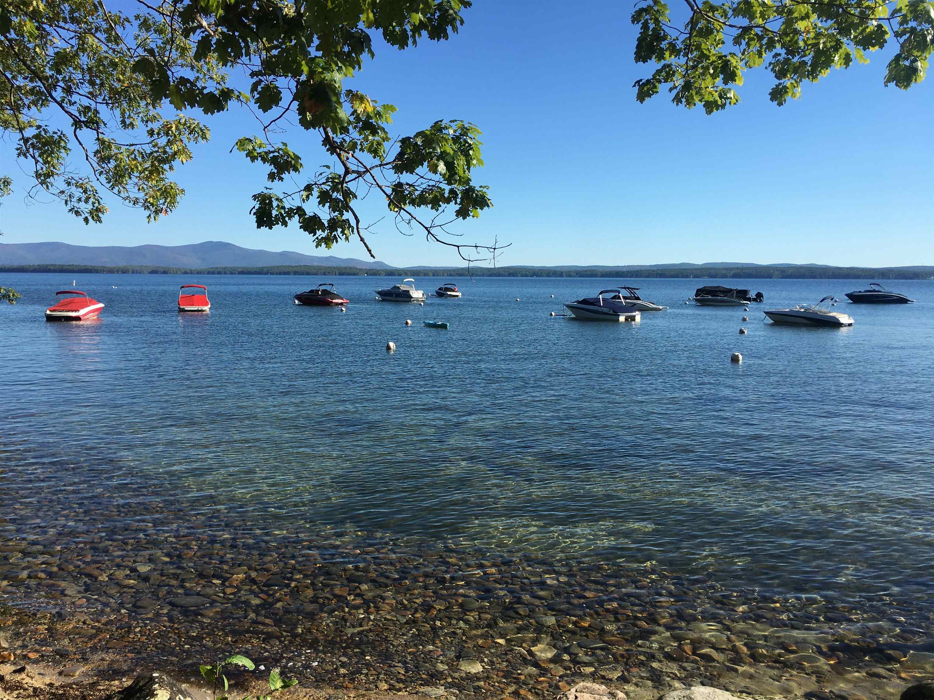 252 Chestnut Drive — photo 2