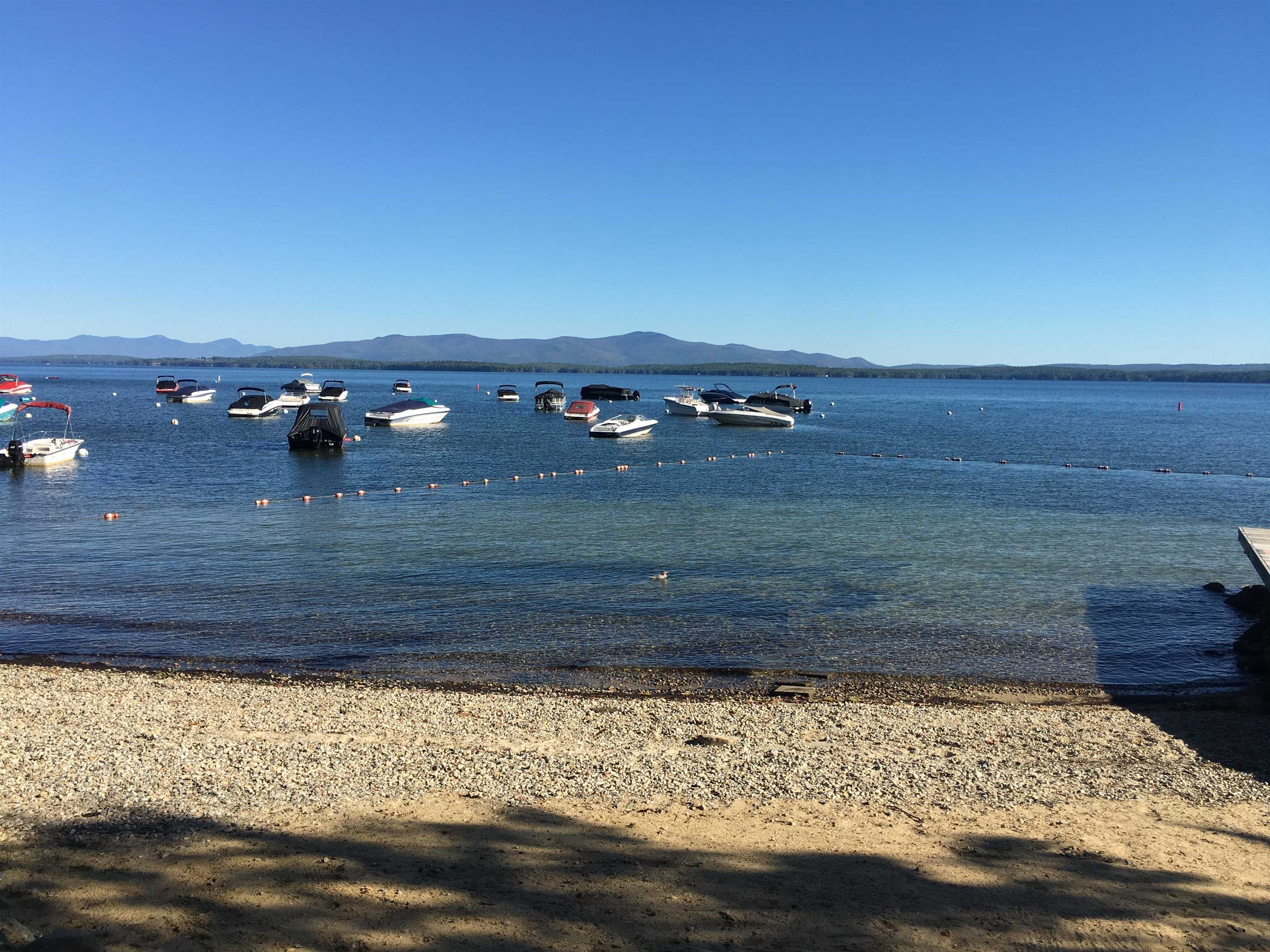 252 Chestnut Drive — photo 3