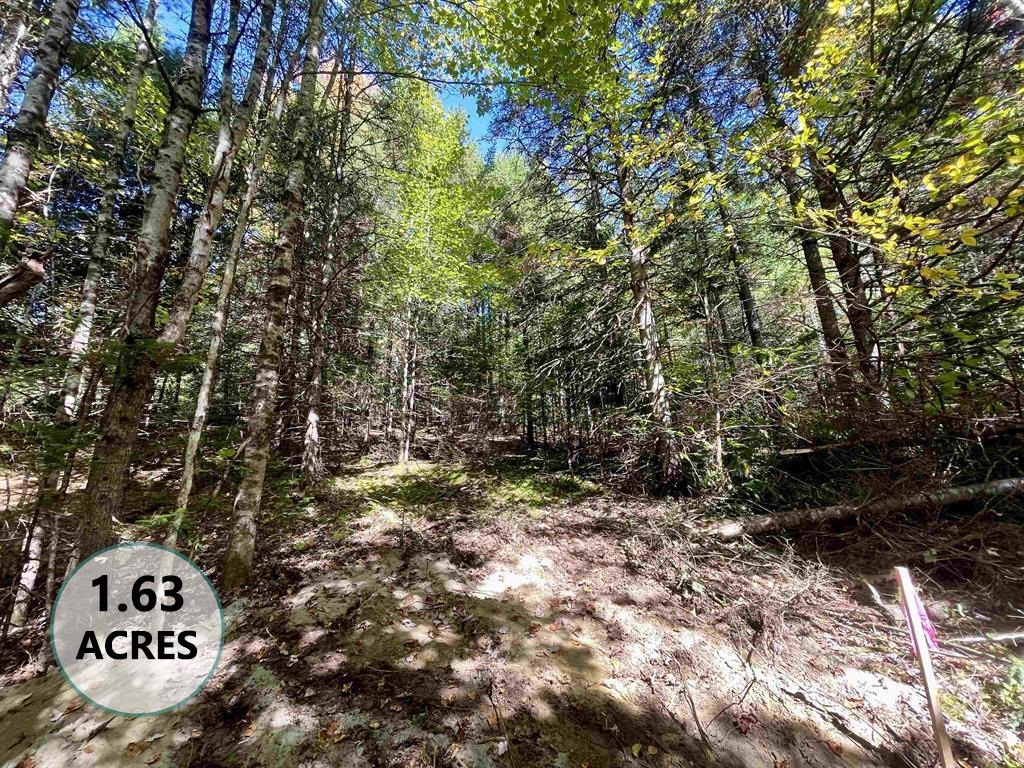 Burke VT&nbsp;Land for sale $$179,000 | 1.63 Acres  | Price Per Acre $0  | Total Lots 4