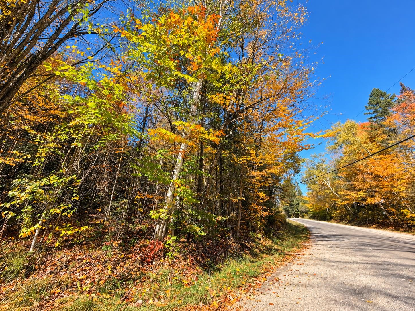 Photo 3 of Land for sale at 00 Marshall Newland Rd, East Burke, VT 05832 | MLS# 5061569 | Listing updated on 2026-10-05