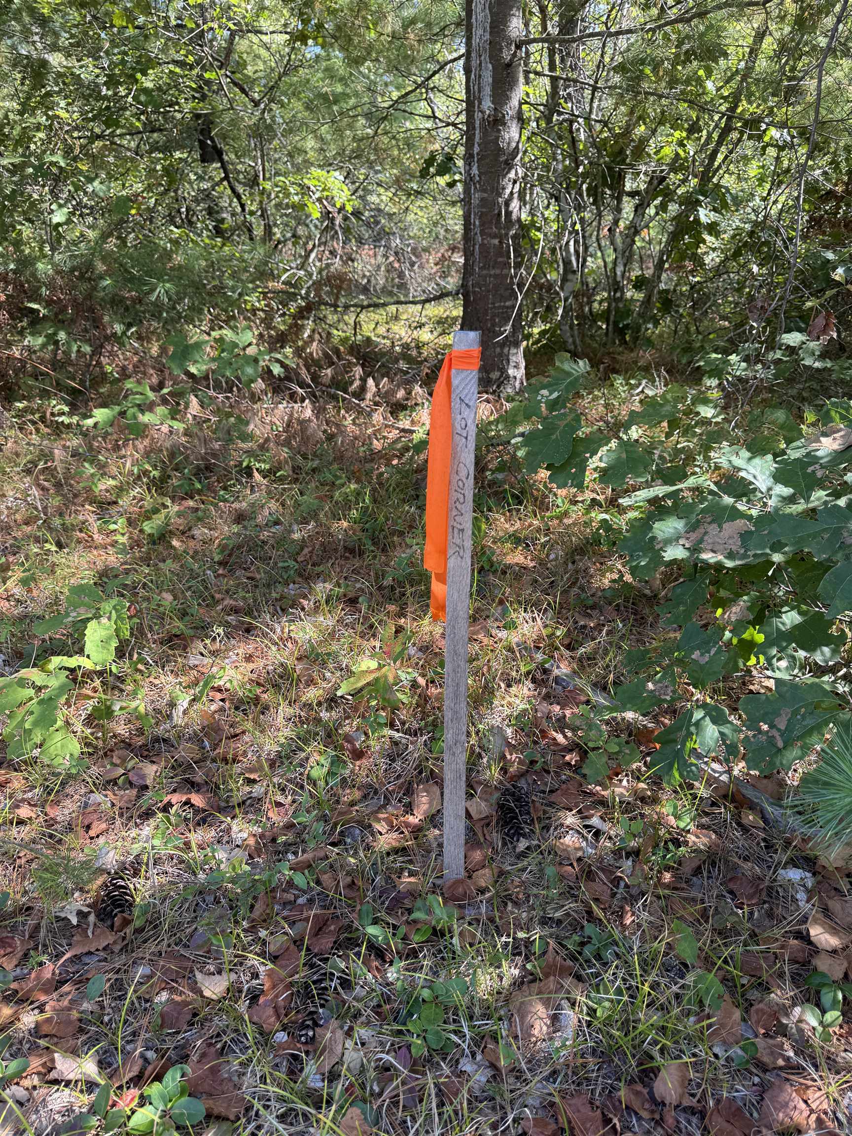 5-11 Friedman Ln, Freedom, NH 03836