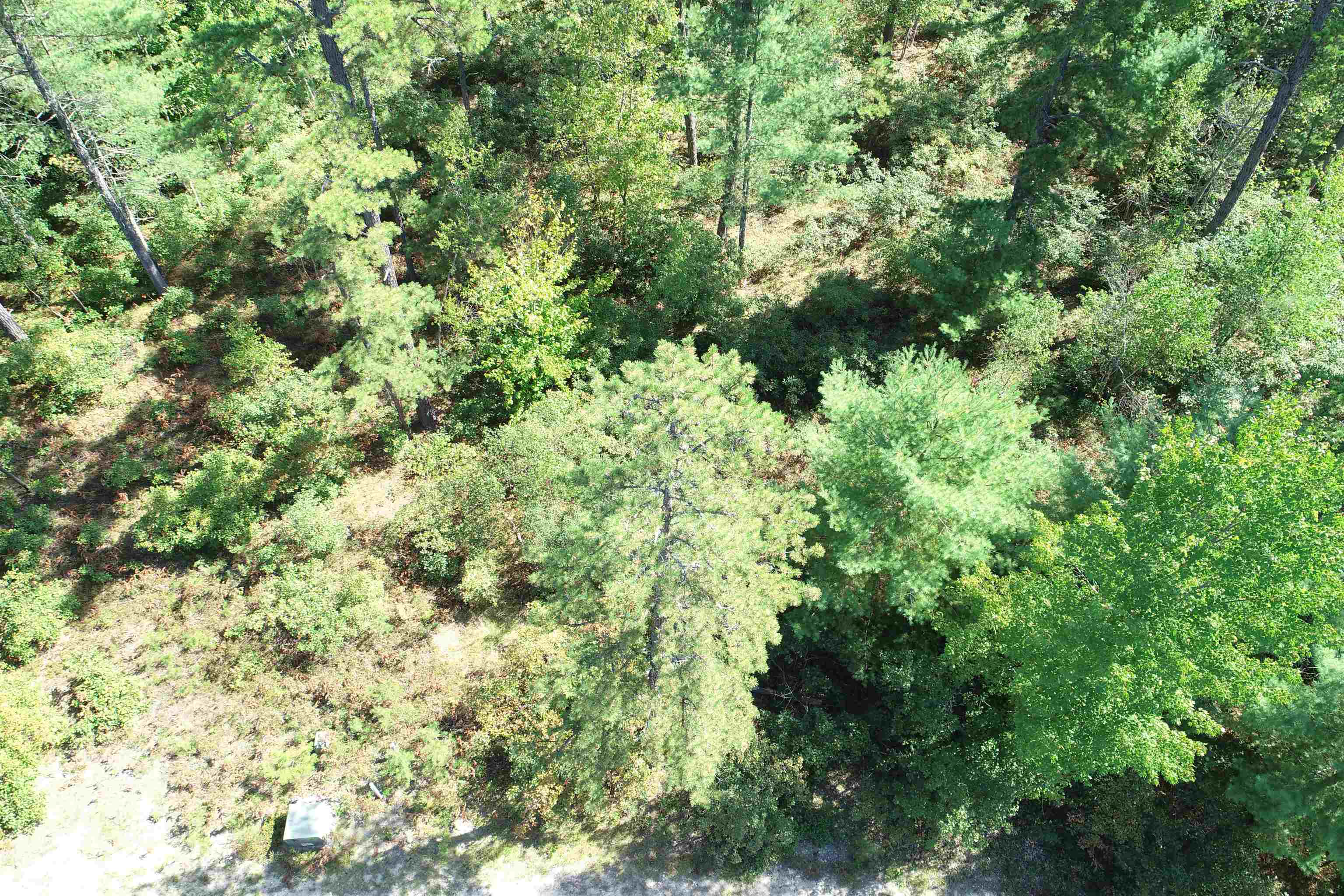 5-11 Friedman Ln, Freedom, NH 03836