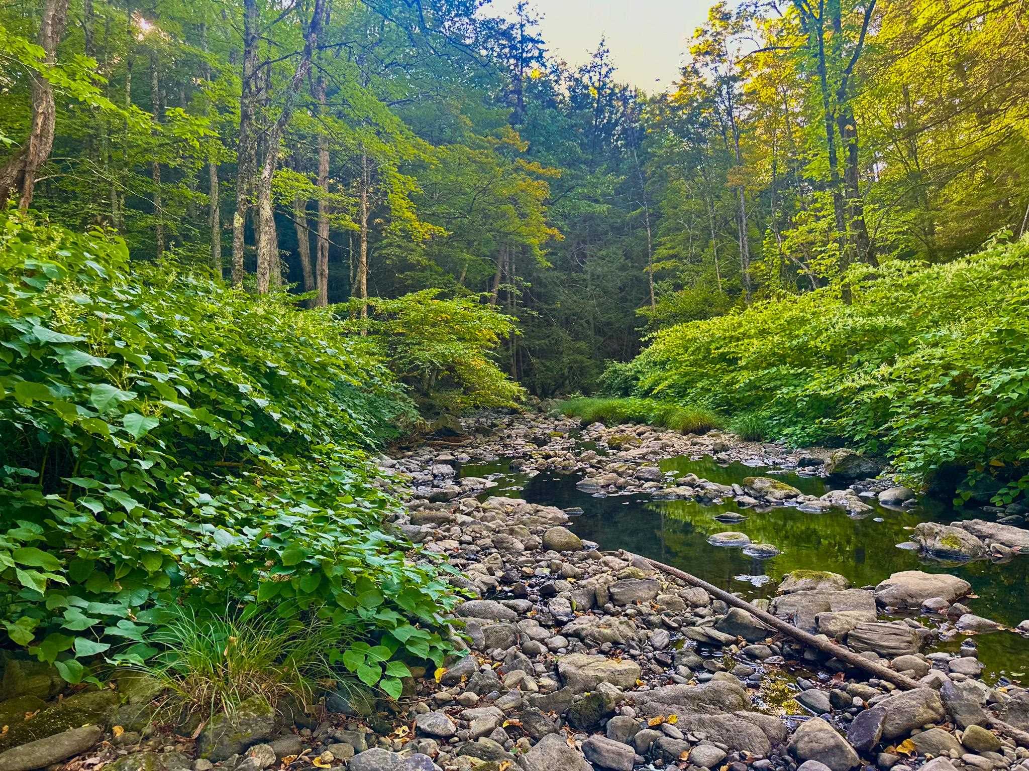 1041 Stage Rd, Plainfield, NH 03781