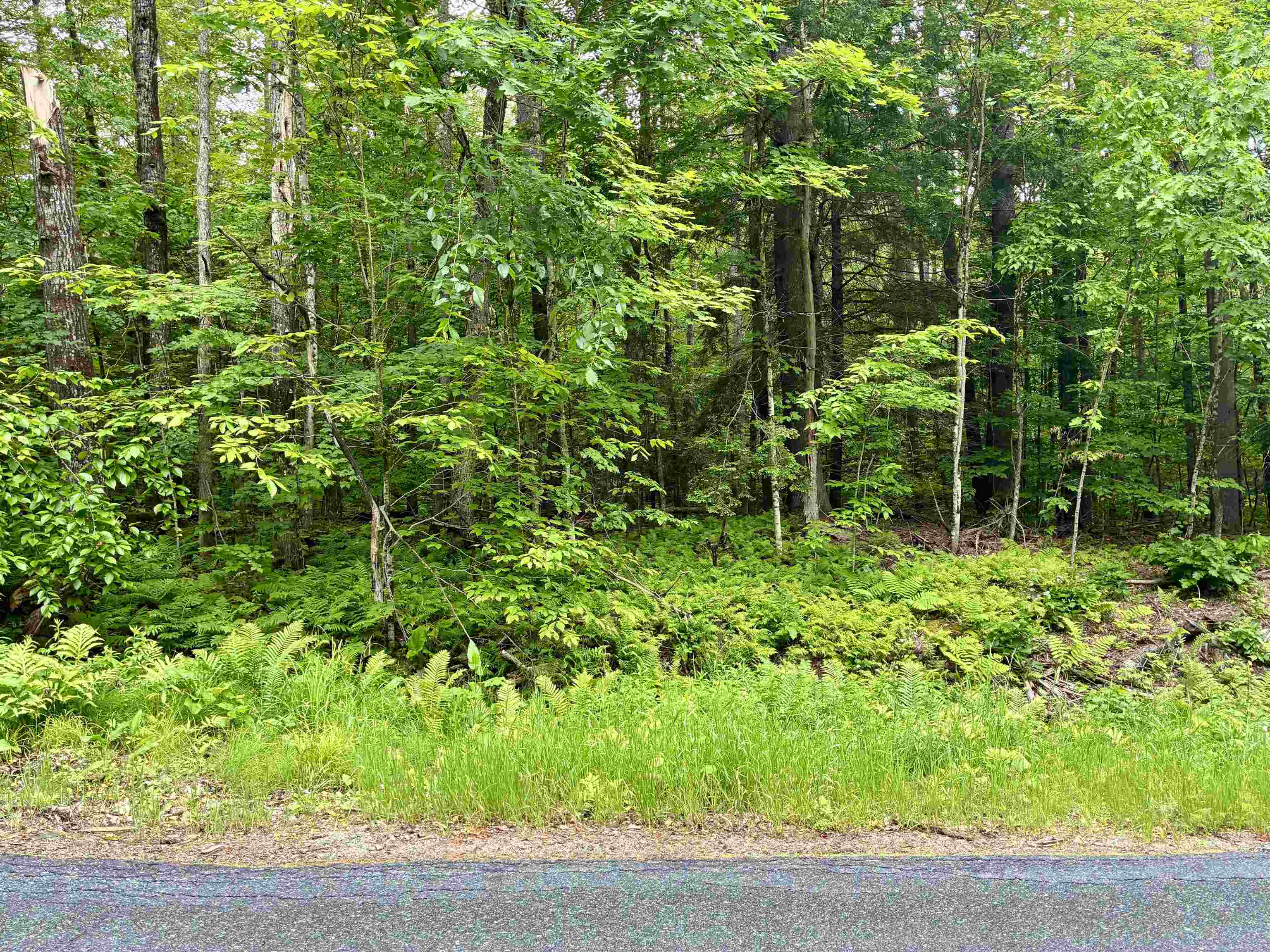 Lot 6 North Skinny Ridge Rd, Littleton, NH 03561