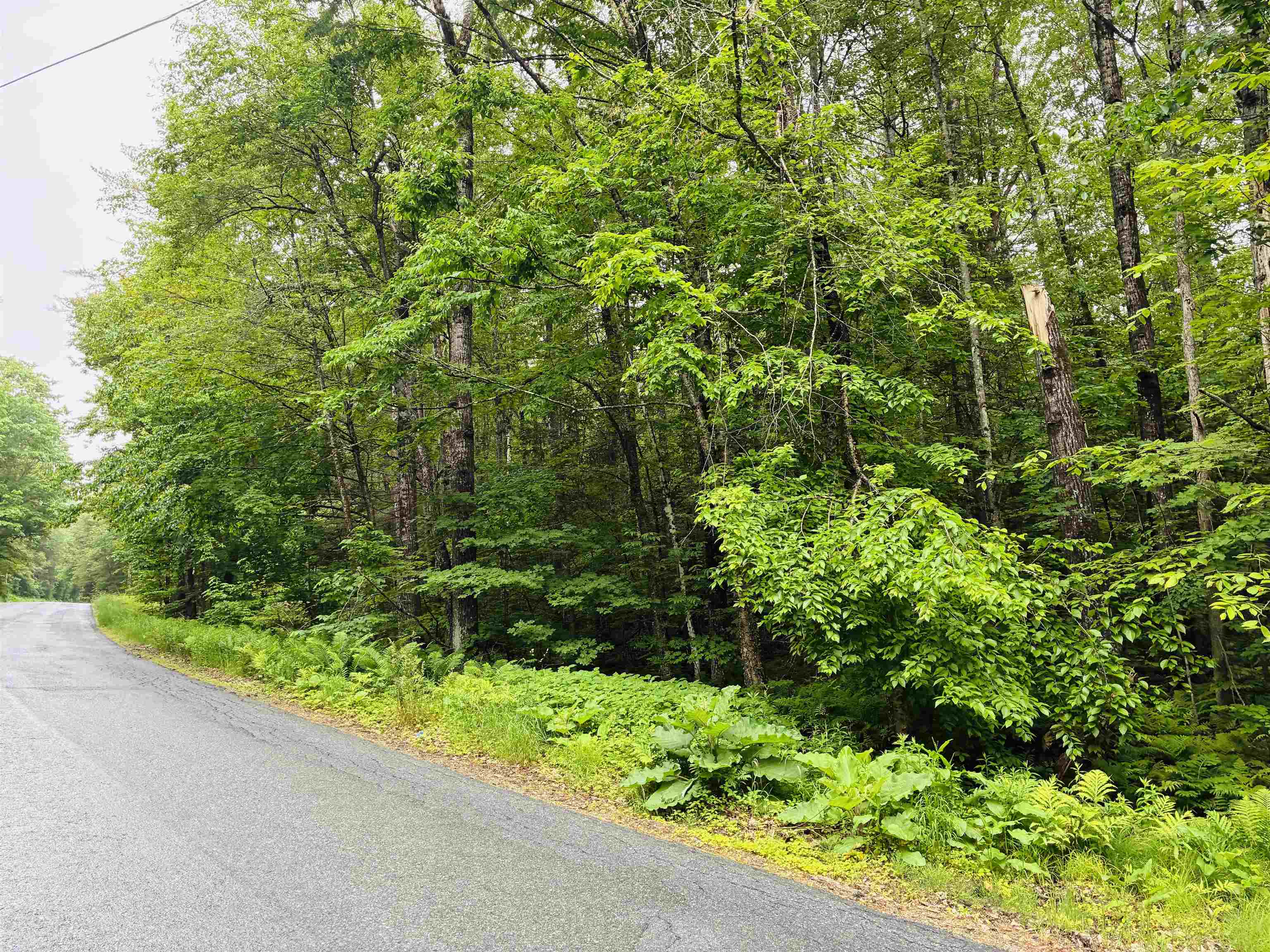 Lot 6 North Skinny Ridge Rd, Littleton, NH 03561