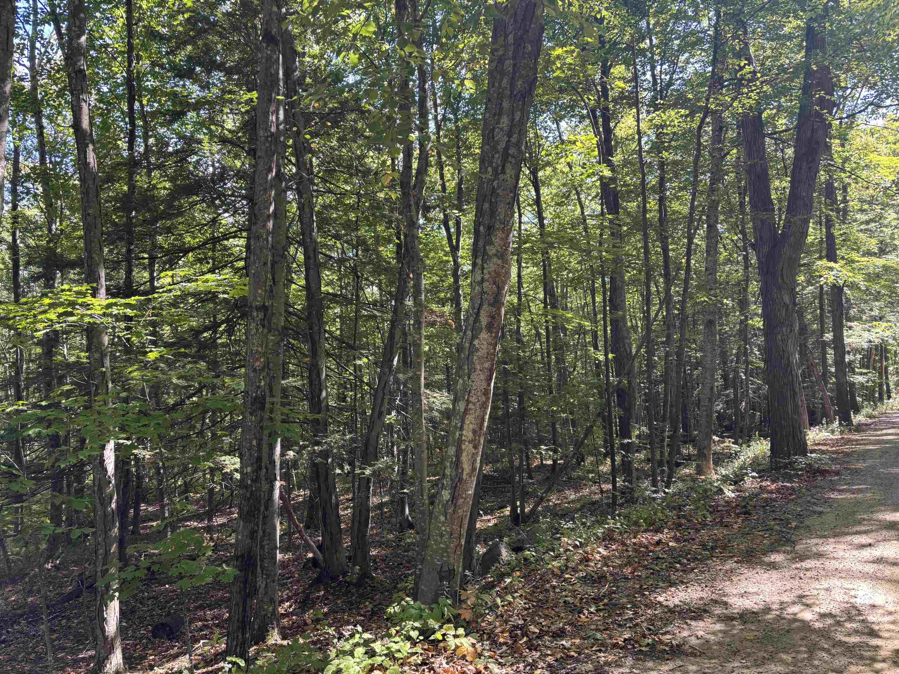 28-1 Range Rd, Strafford, NH 03884