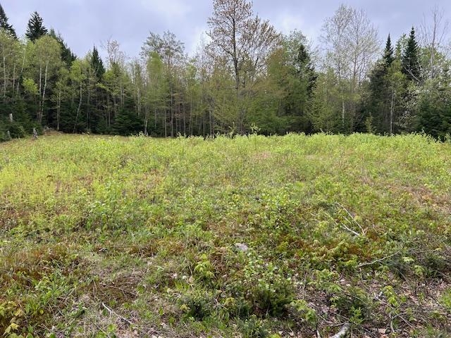 - Piper Hill Rd, Colebrook, NH 03576