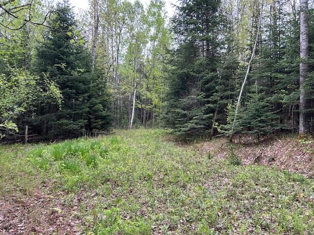 - Piper Hill Rd, Colebrook, NH 03576