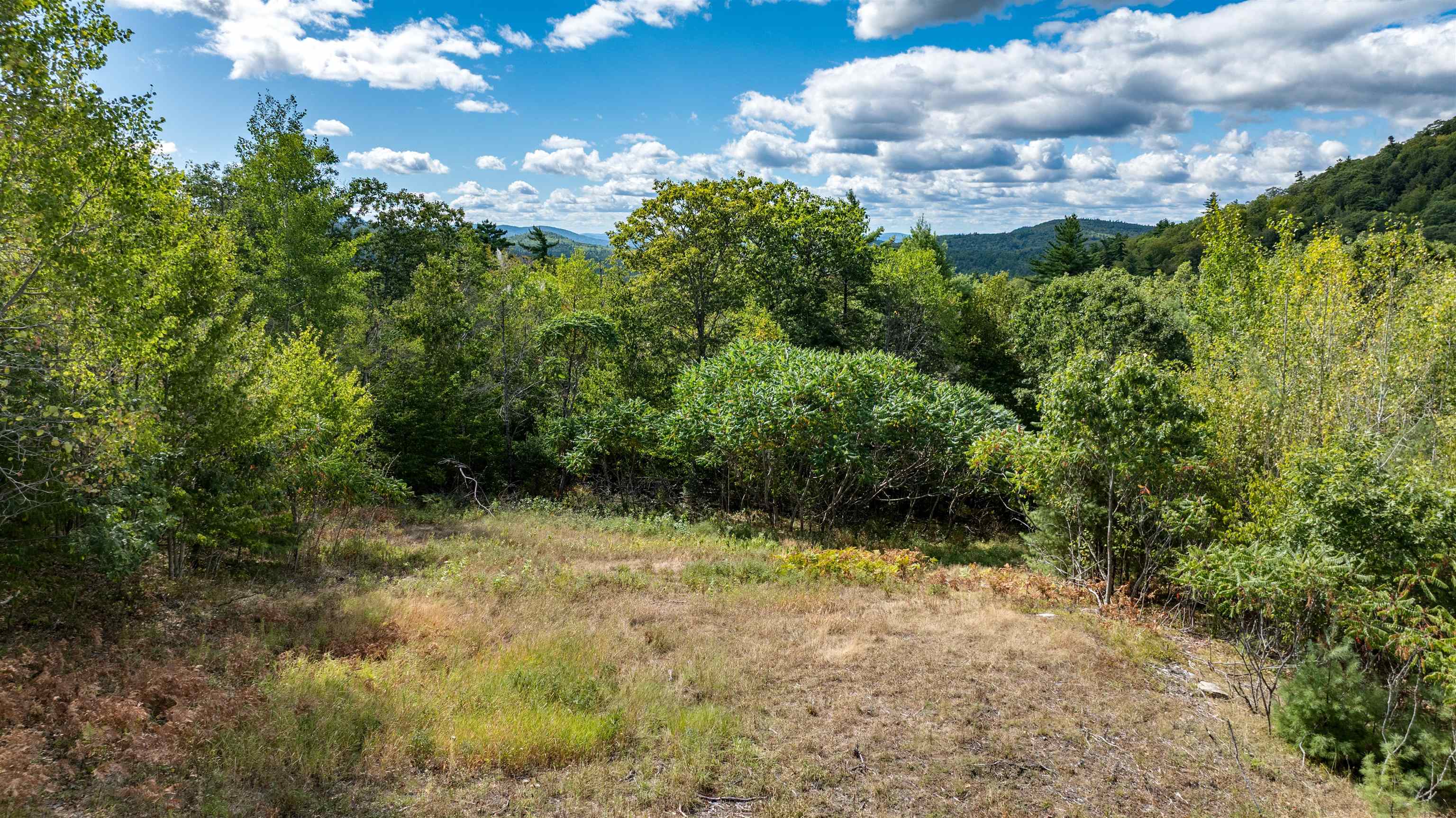 TBD Youngs Rd, Eaton, NH 03832