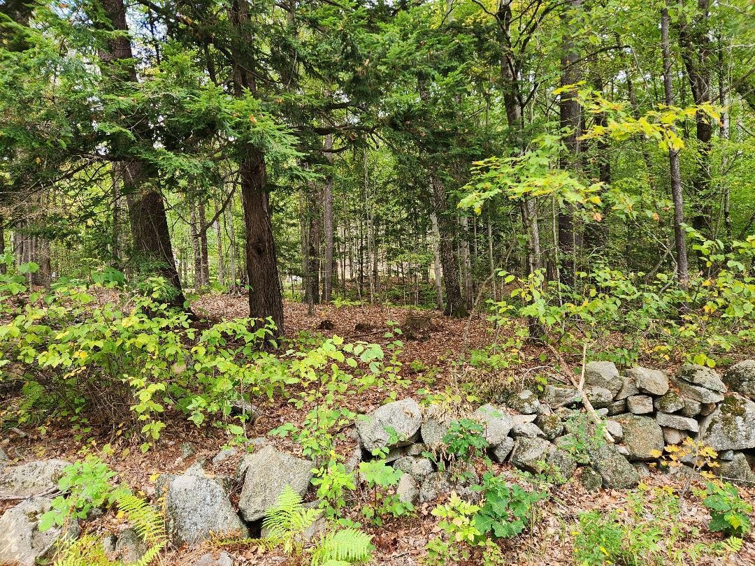 Lot 27-1 Old Walpole Rd, Keene, NH 03431