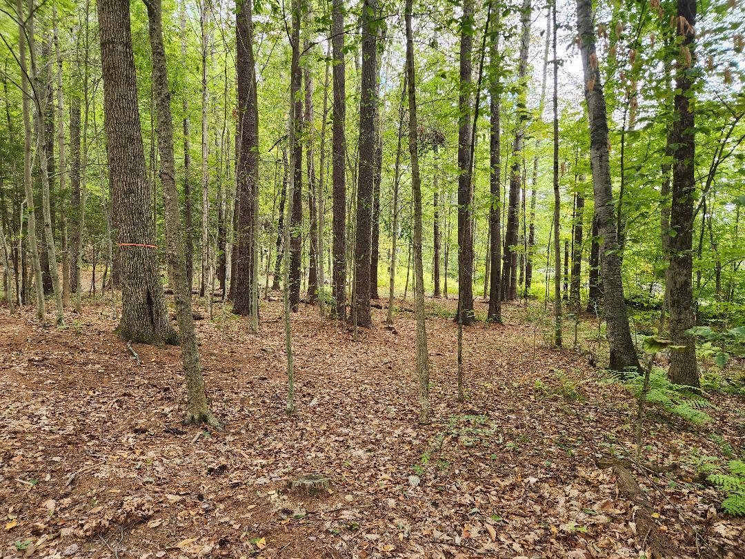 Lot 27-1 Old Walpole Rd, Keene, NH 03431