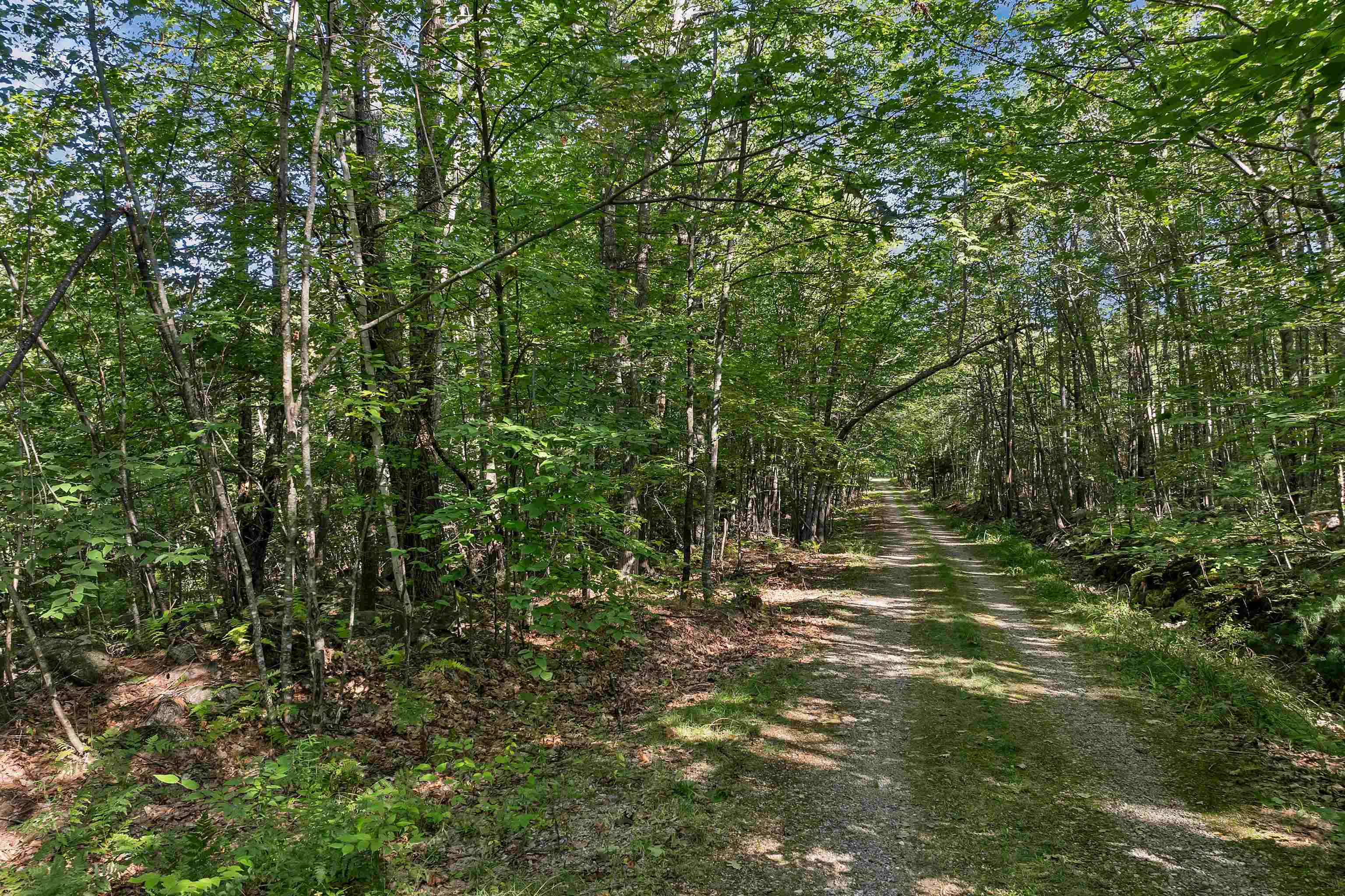 Chamberlain Road — photo 3