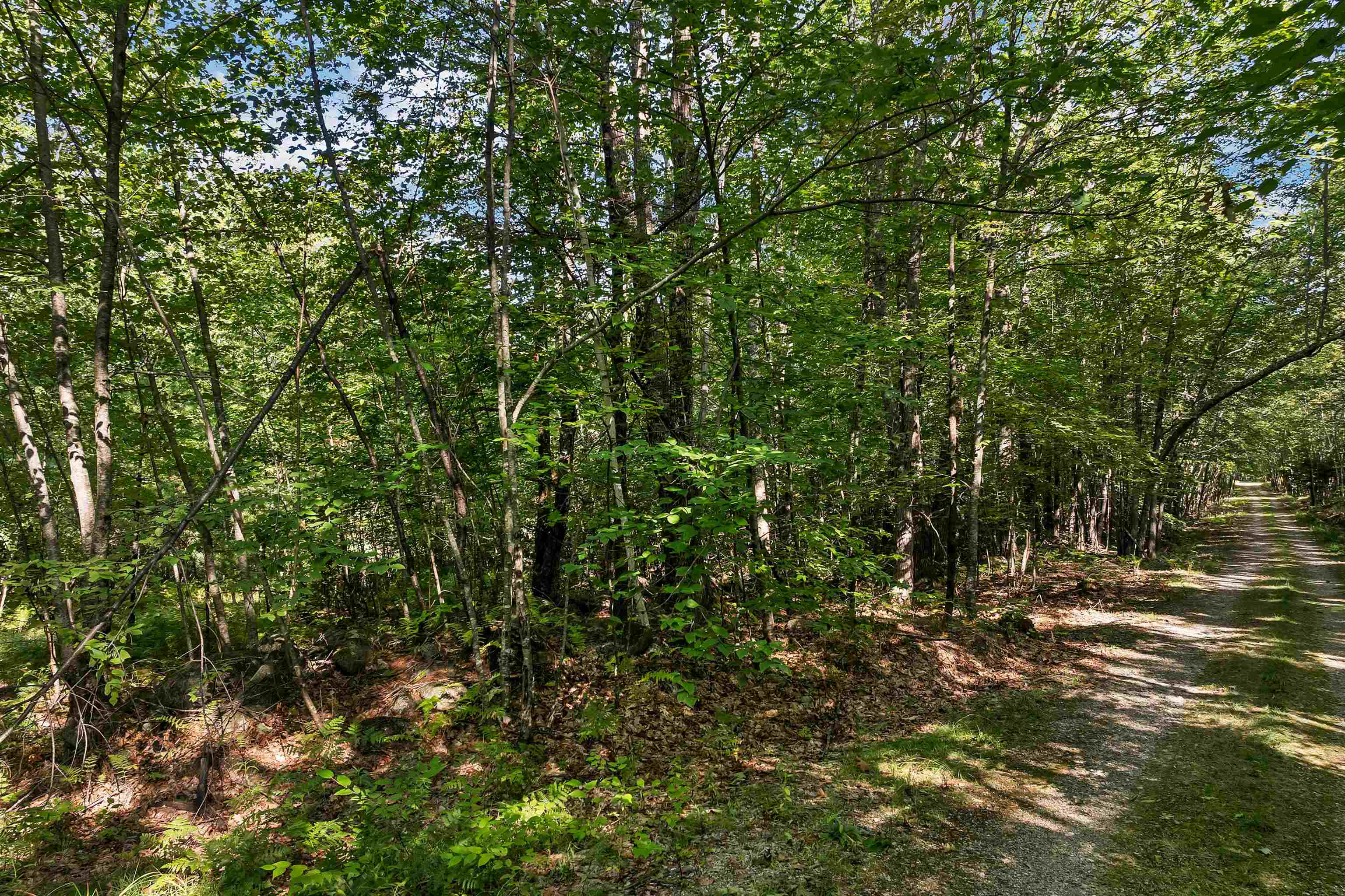 Chamberlain Rd, Alton, NH 03809