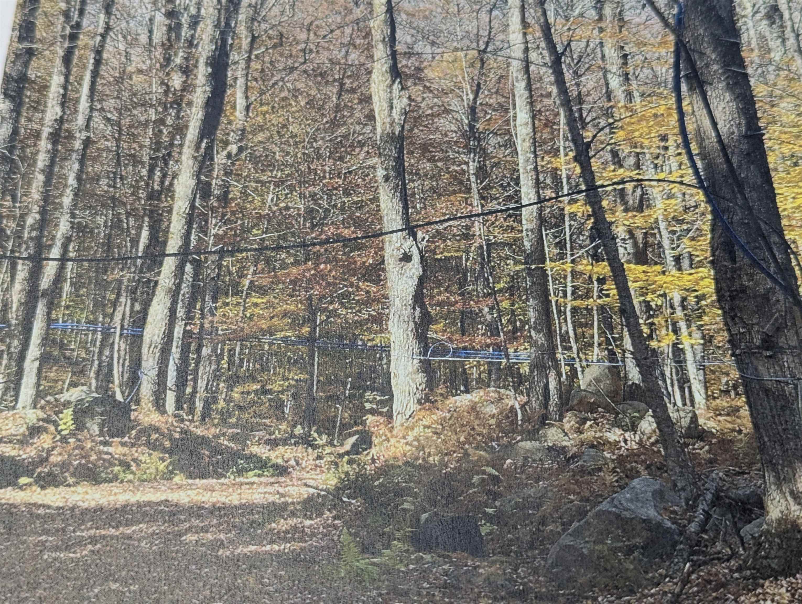 image of Weathersfield VT 2 Bedrooms  1 Bath Home