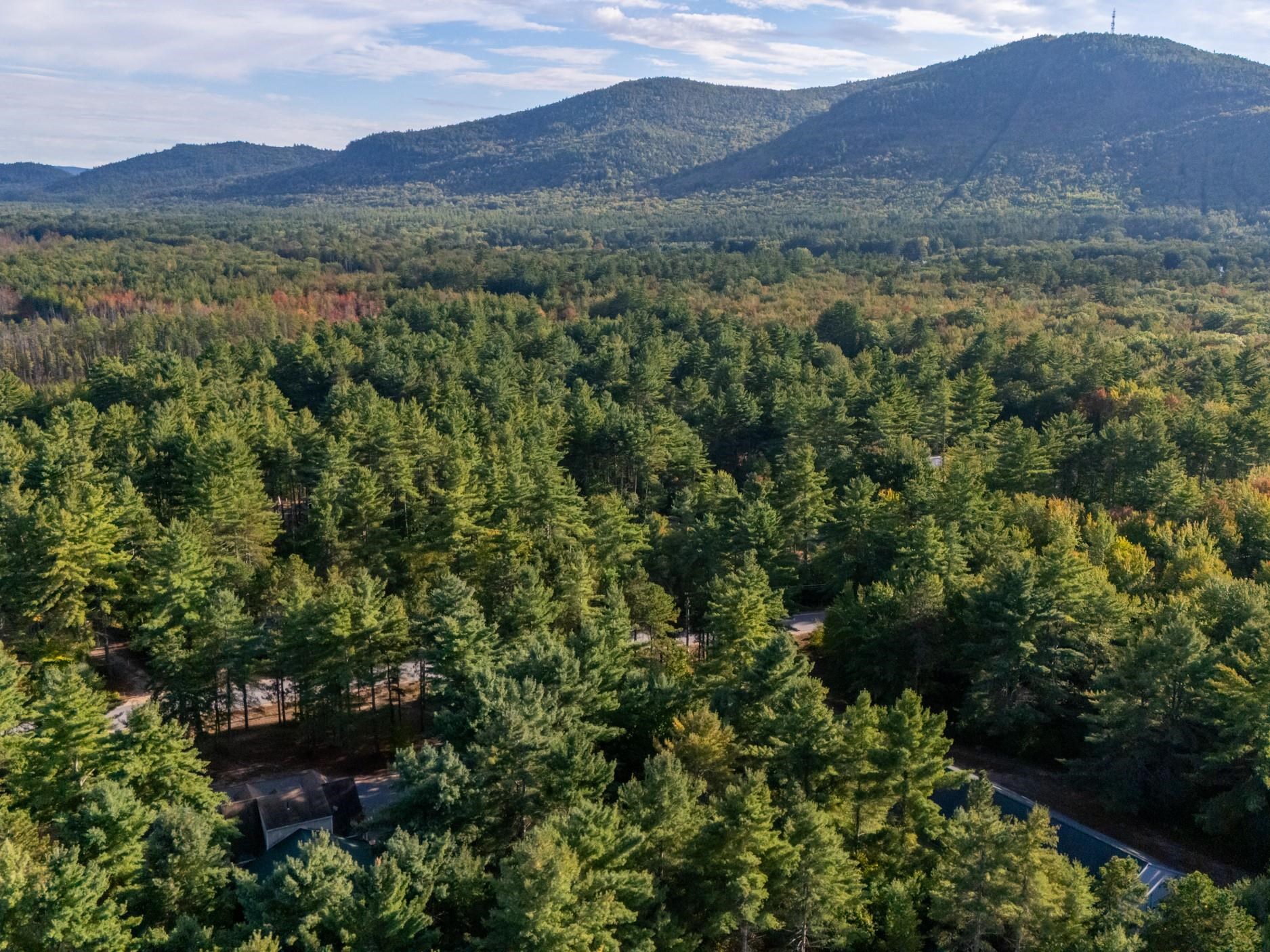 101 Ossipee Lake Rd, Tamworth, NH 03886