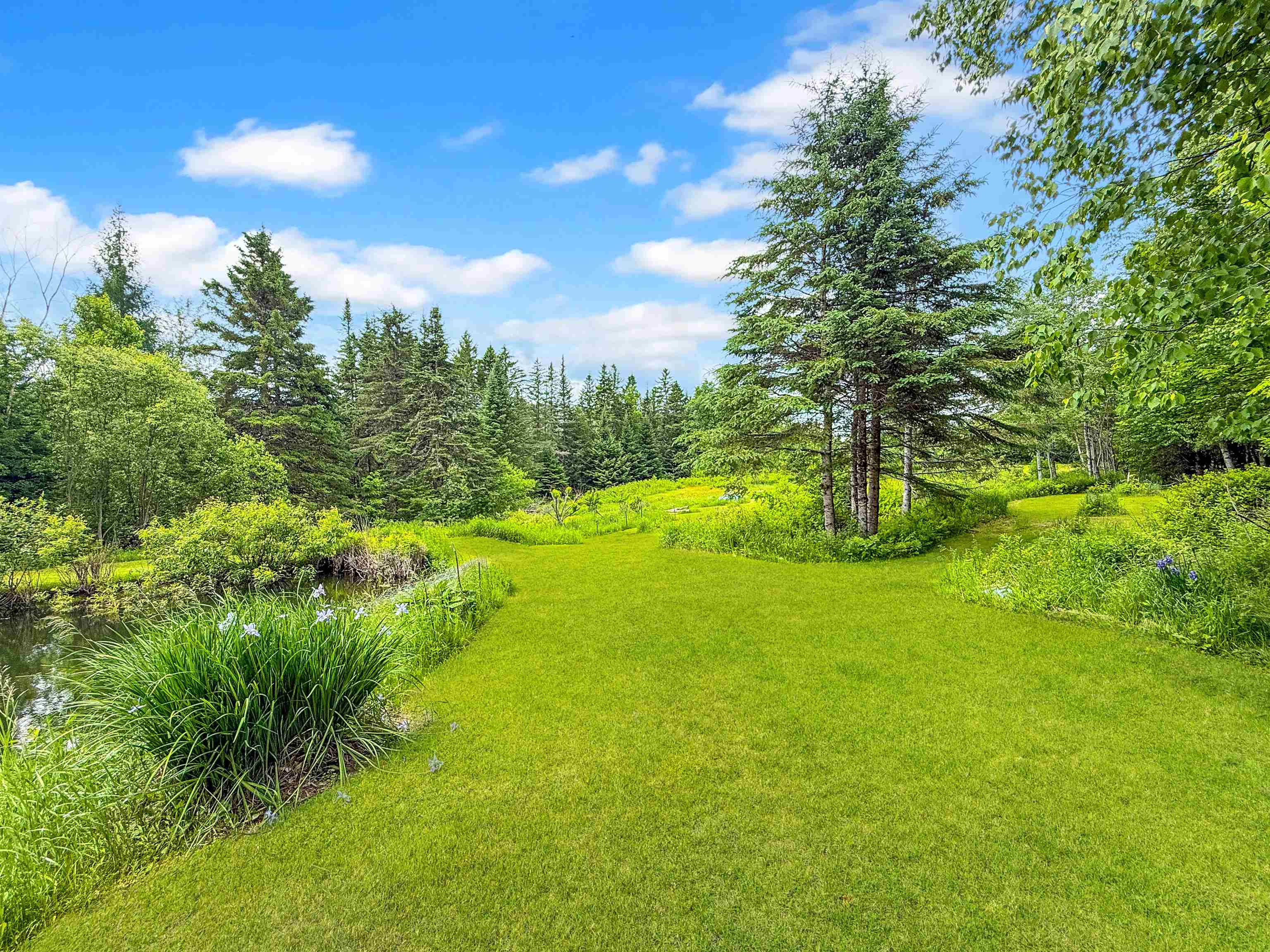 126 Gray Rd, Columbia, NH 03576
