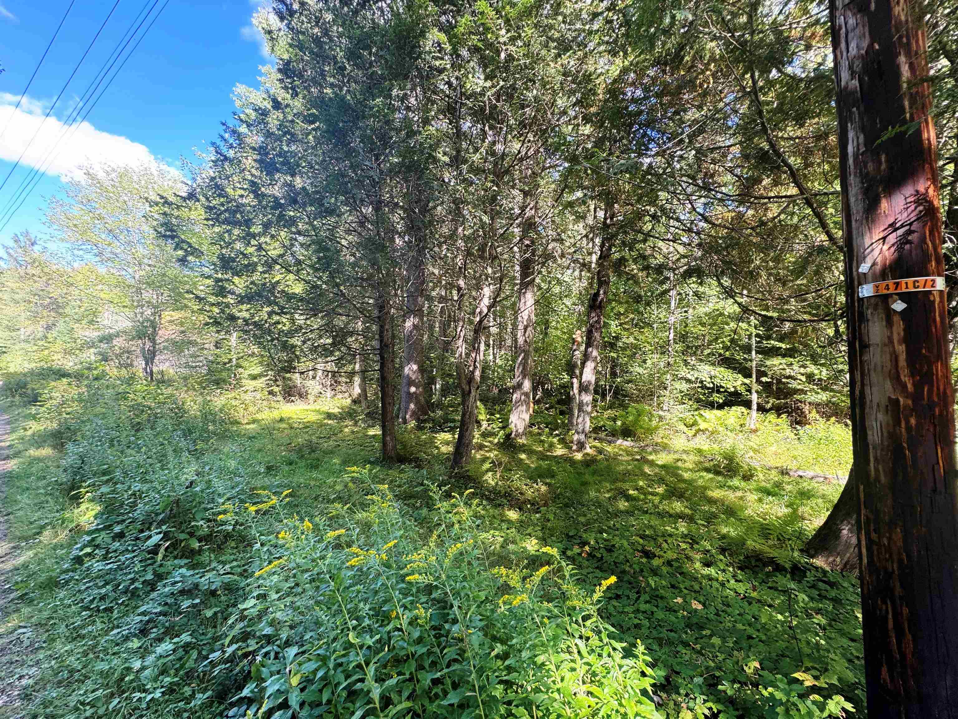 686 Wing Rd, Bethlehem, NH 03574